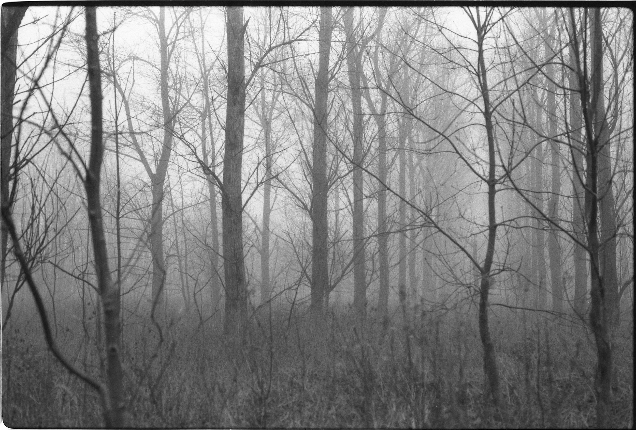 Oosterwold Photography Project. Fotograaf Amsterdam - Victoria Ushkanova