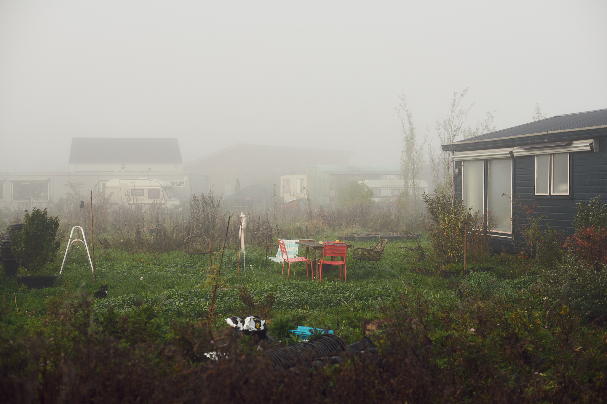 Oosterwold Photography Project. Fotograaf Amsterdam - Victoria Ushkanova