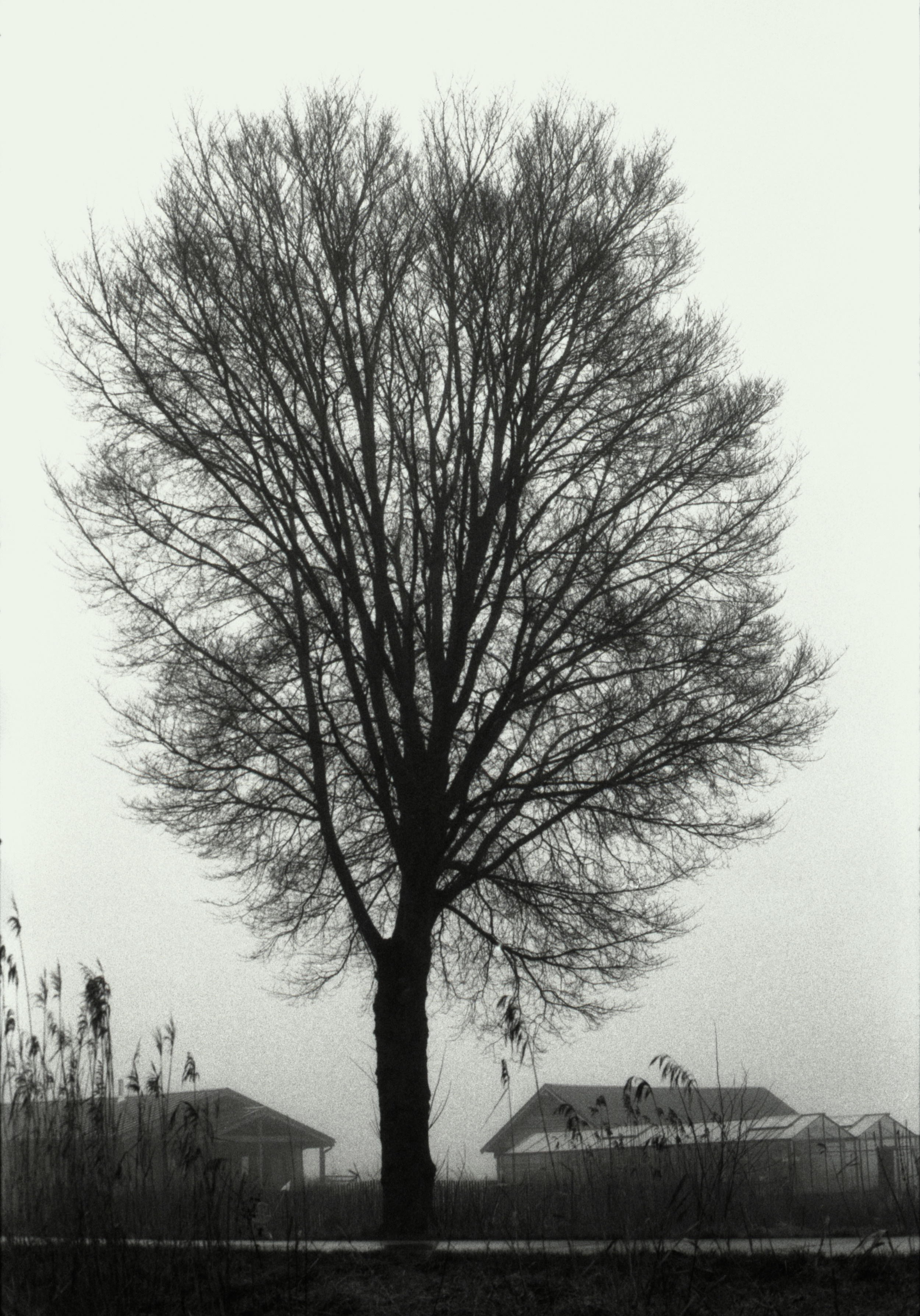 Oosterwold Photography Project. Fotograaf Amsterdam - Victoria Ushkanova