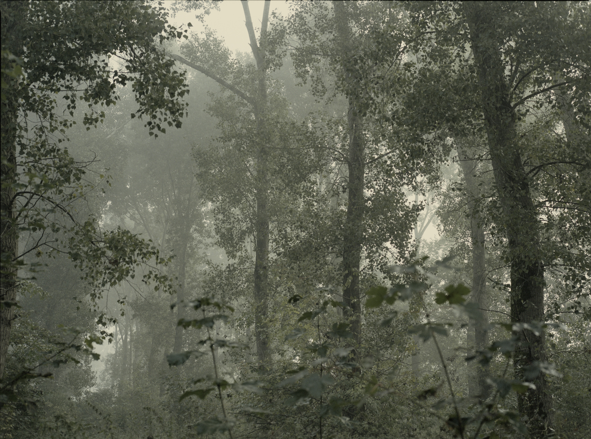 Oosterwold Photography Project. Fotograaf Amsterdam - Victoria Ushkanova