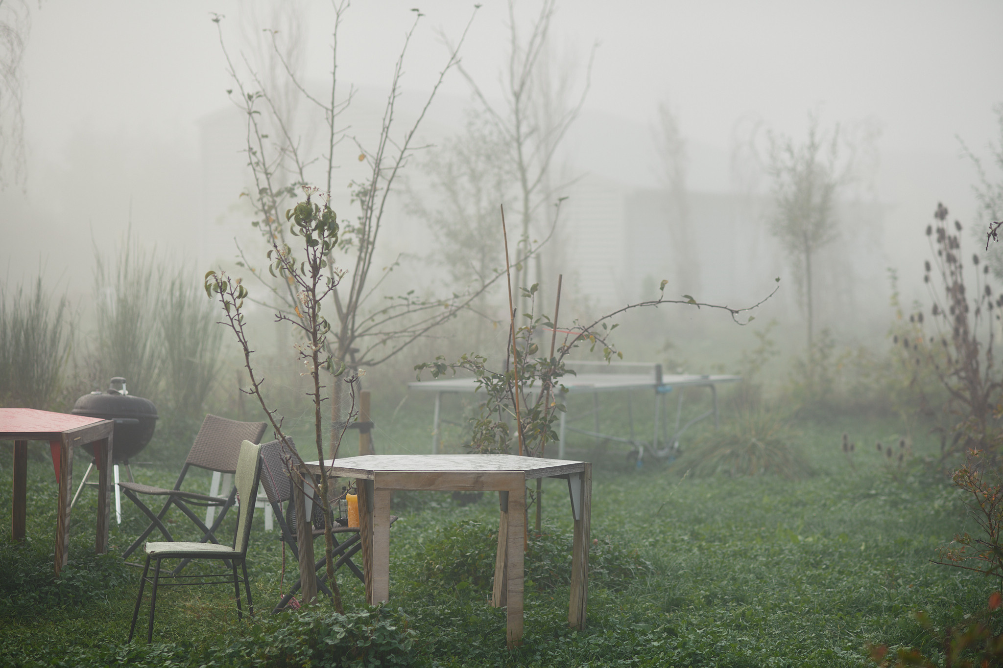 Oosterwold Photography Project. Fotograaf Amsterdam - Victoria Ushkanova