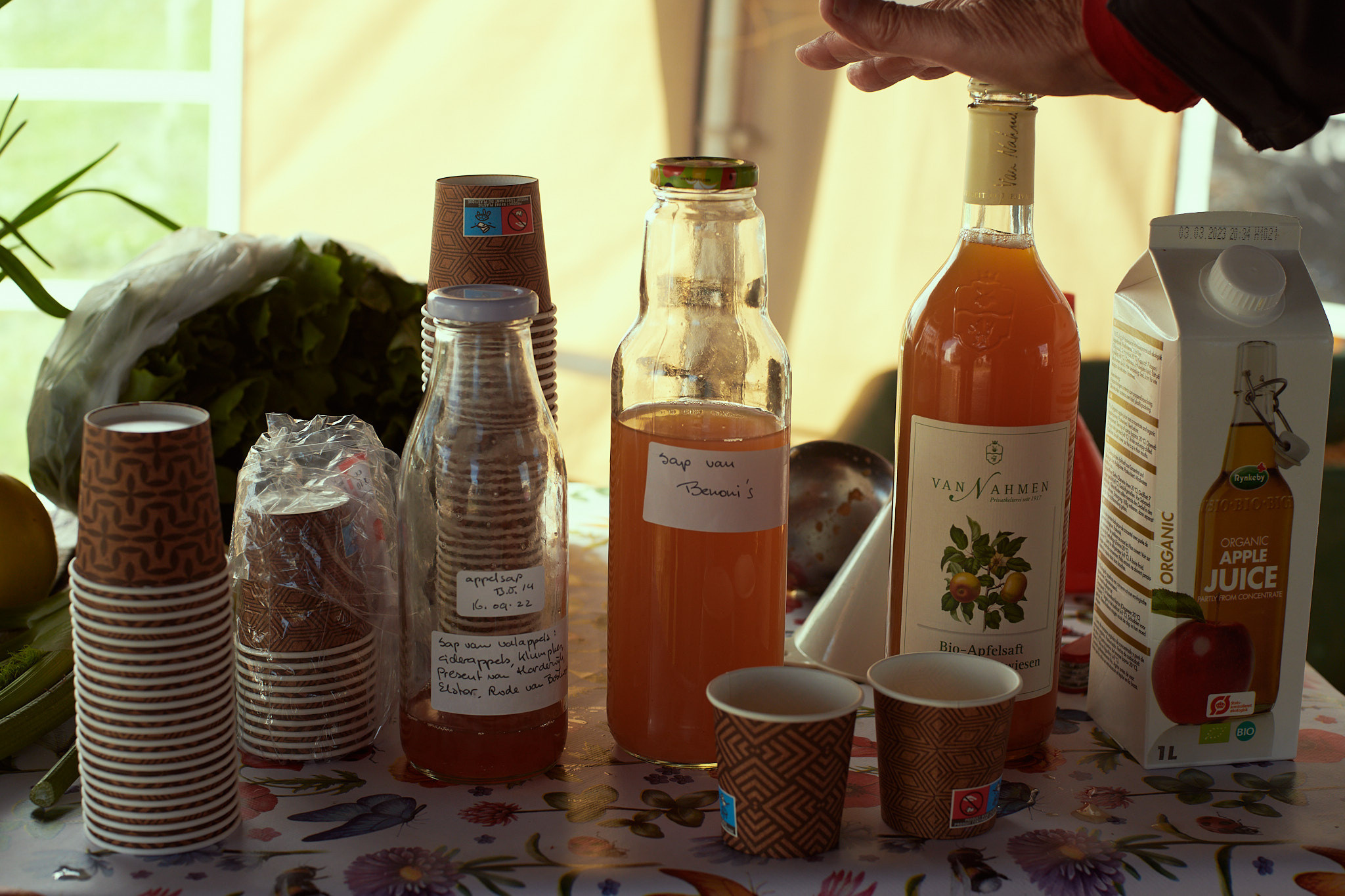 Documentary photo story of 110% Oosterwold. Portrait Photographer in Brussels & Amsterdam — Victoria Ushkanova