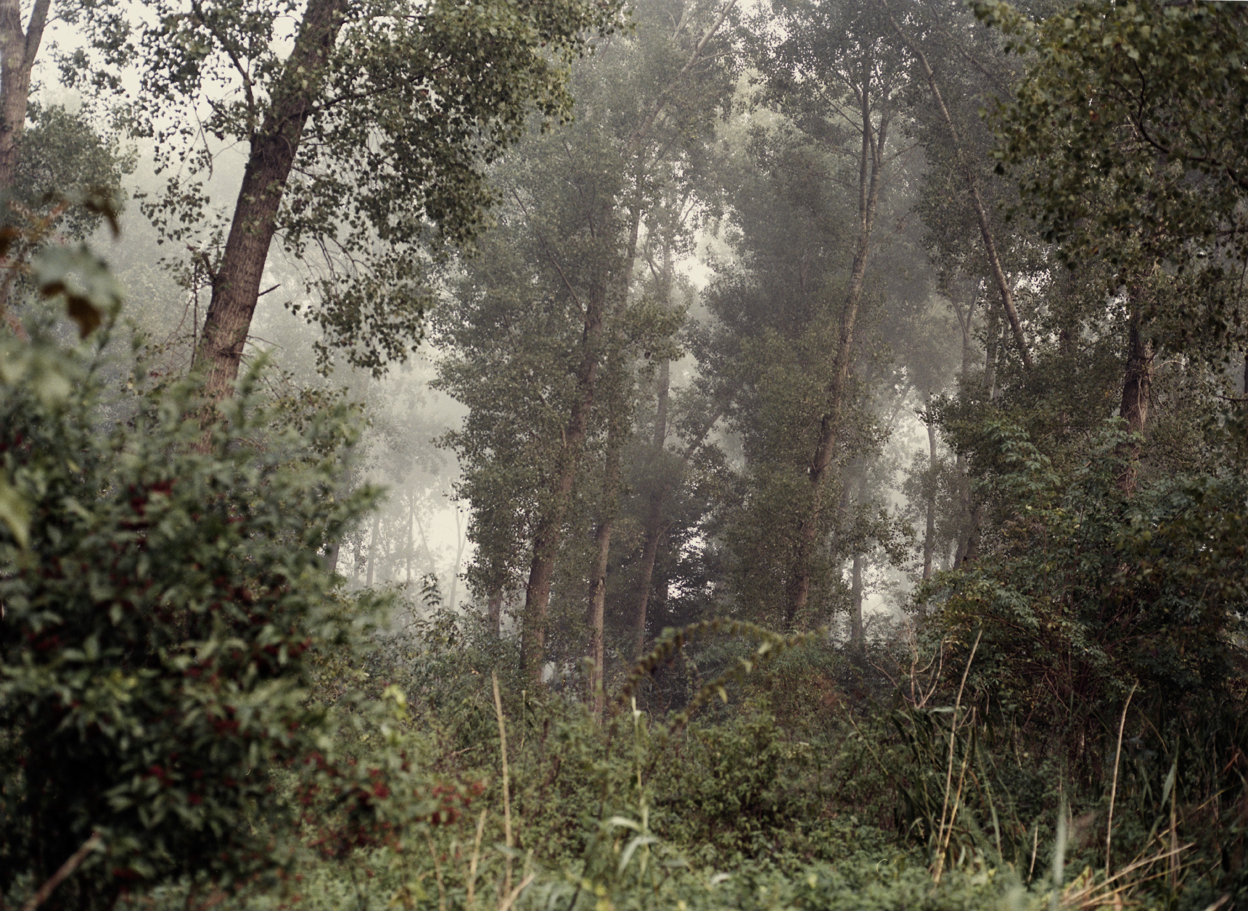 Oosterwold Photography Project. Fotograaf Amsterdam - Victoria Ushkanova