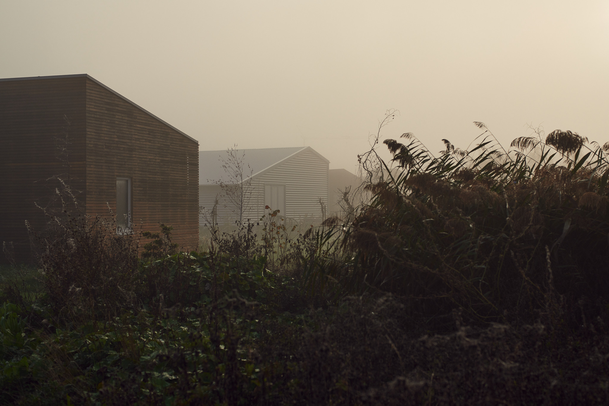 Oosterwold Photography Project. Fotograaf Amsterdam - Victoria Ushkanova