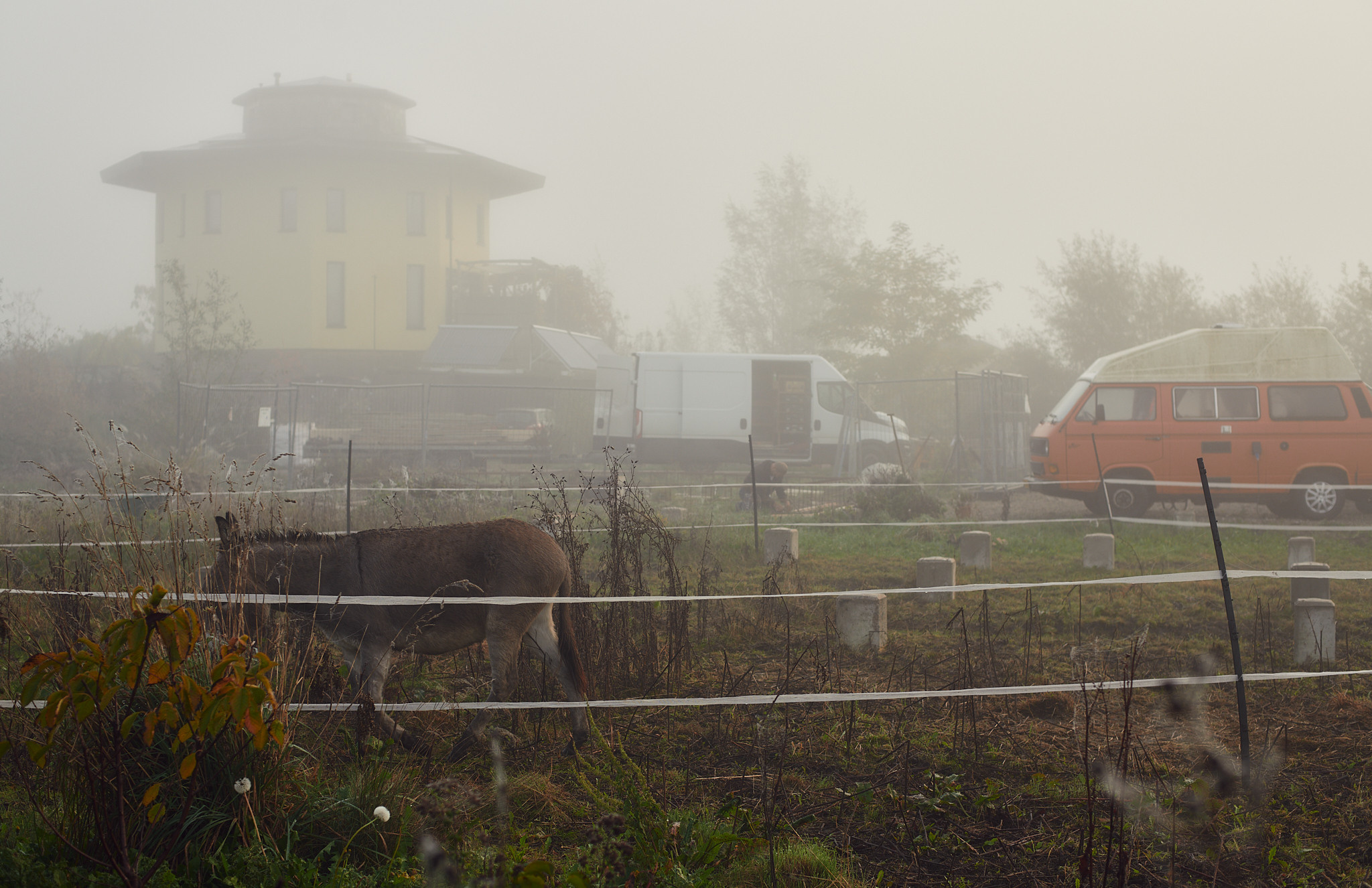 Oosterwold Photography Project. Fotograaf Amsterdam - Victoria Ushkanova