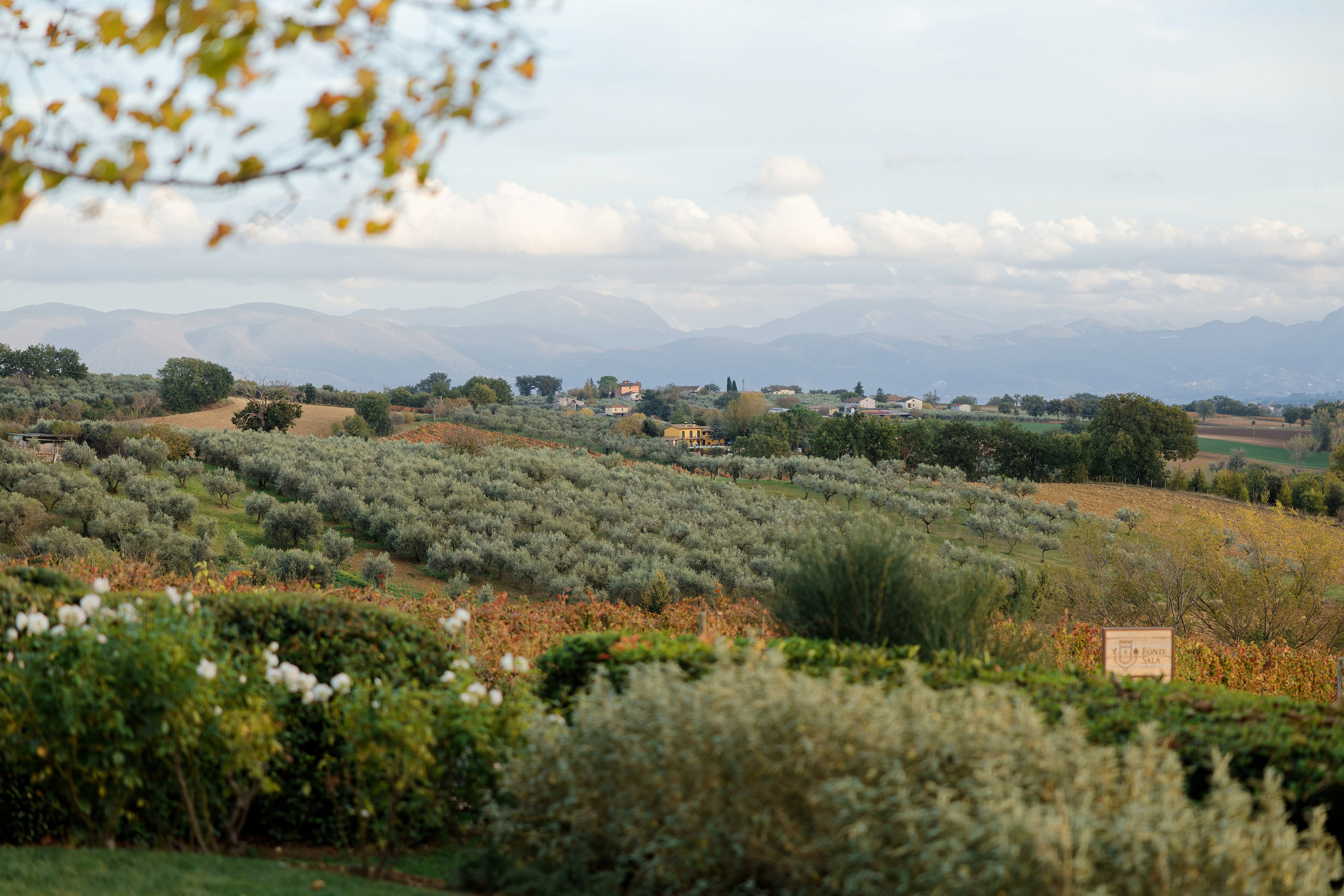 Wedding at Fonte Sala, Umbria Preview