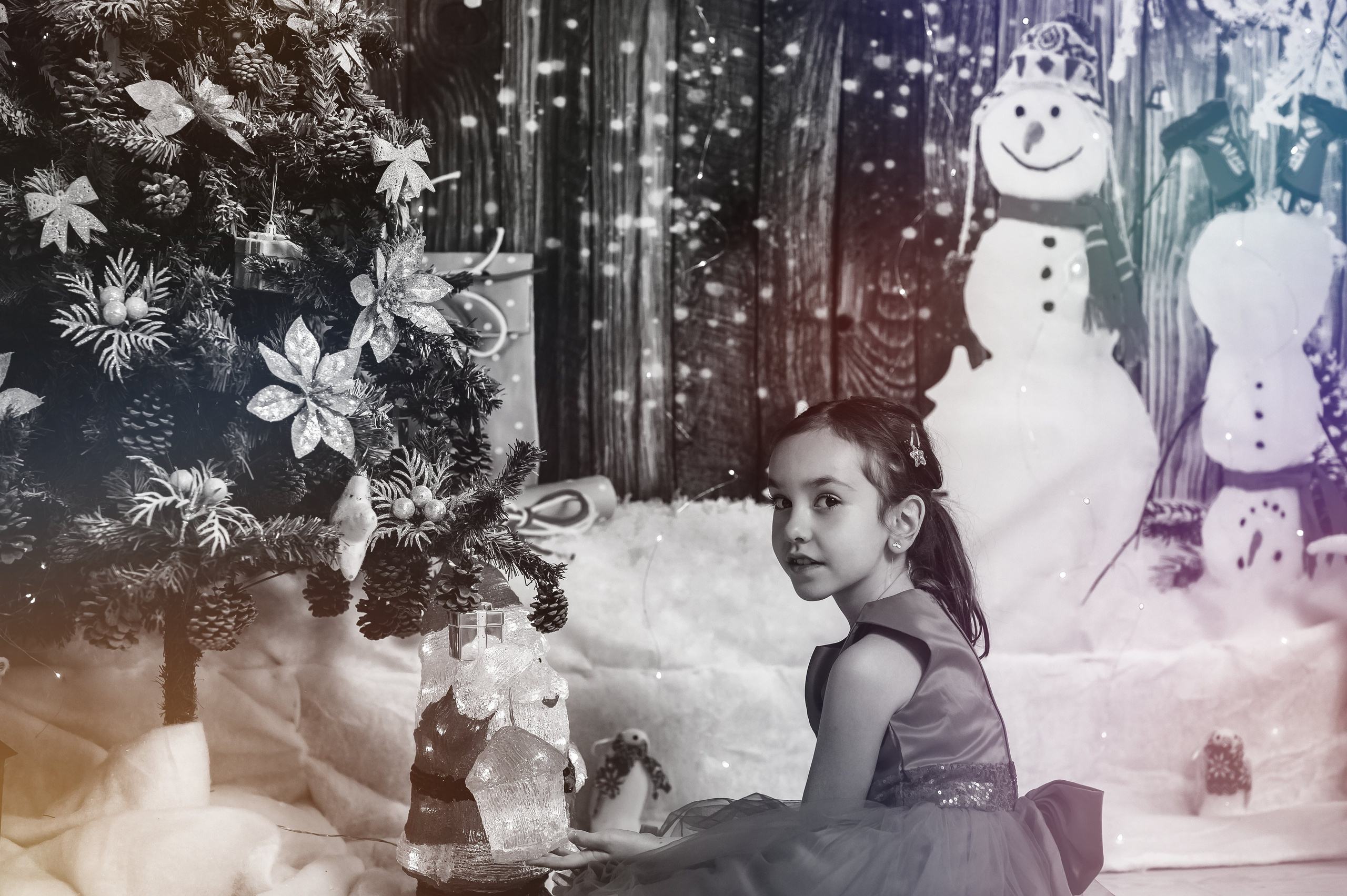 Sedinta Craciun Sofia