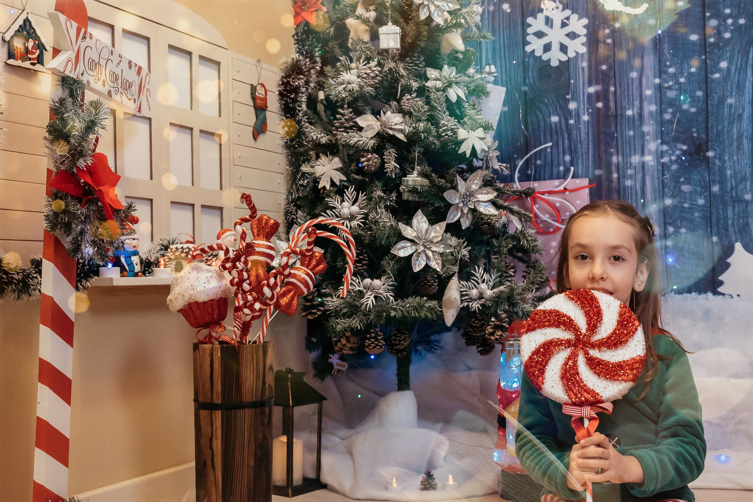 Sedinta Craciun Sofia