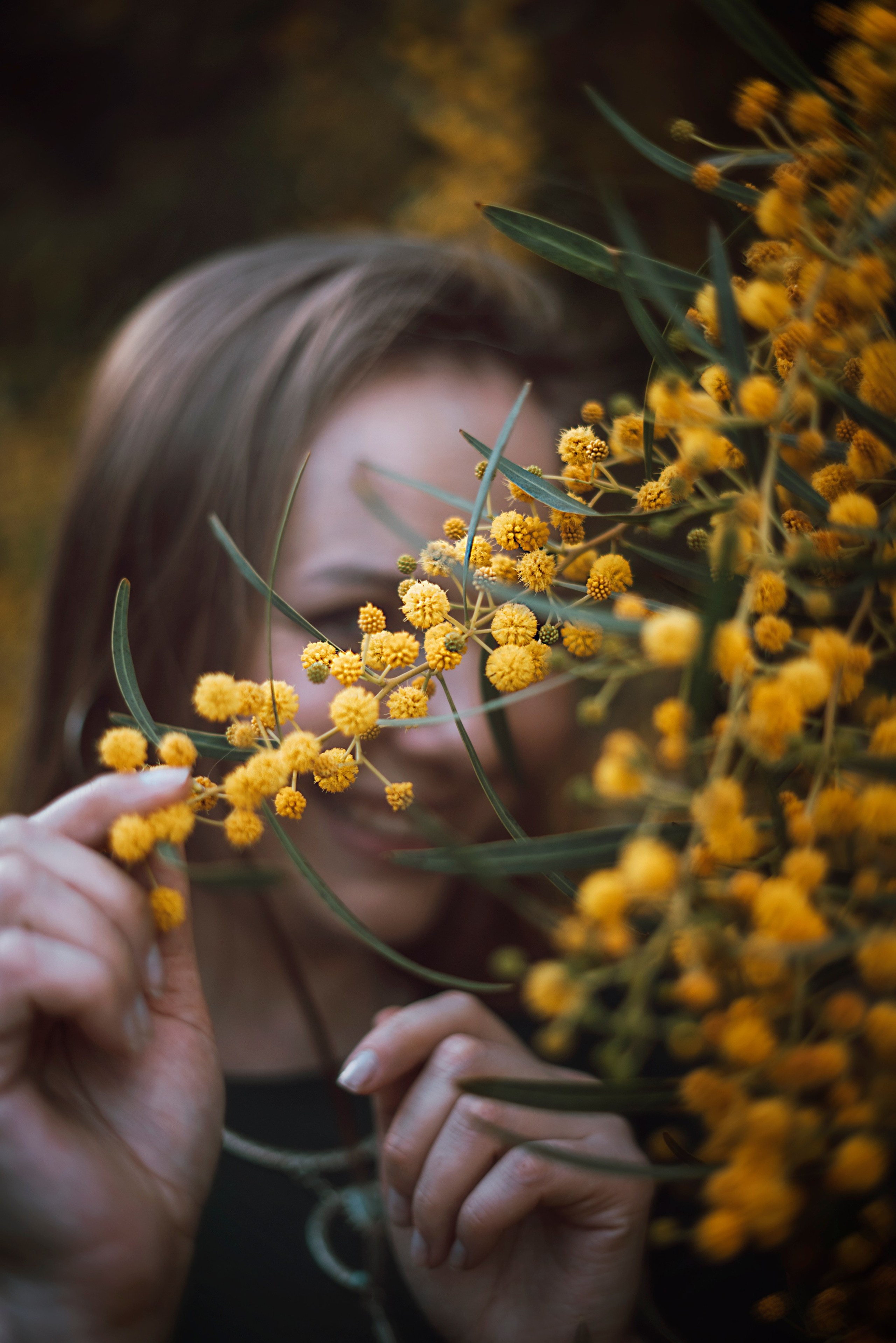 Мимоза. Анастасия Благова — Твой фотограф в Малаге 🇪🇸