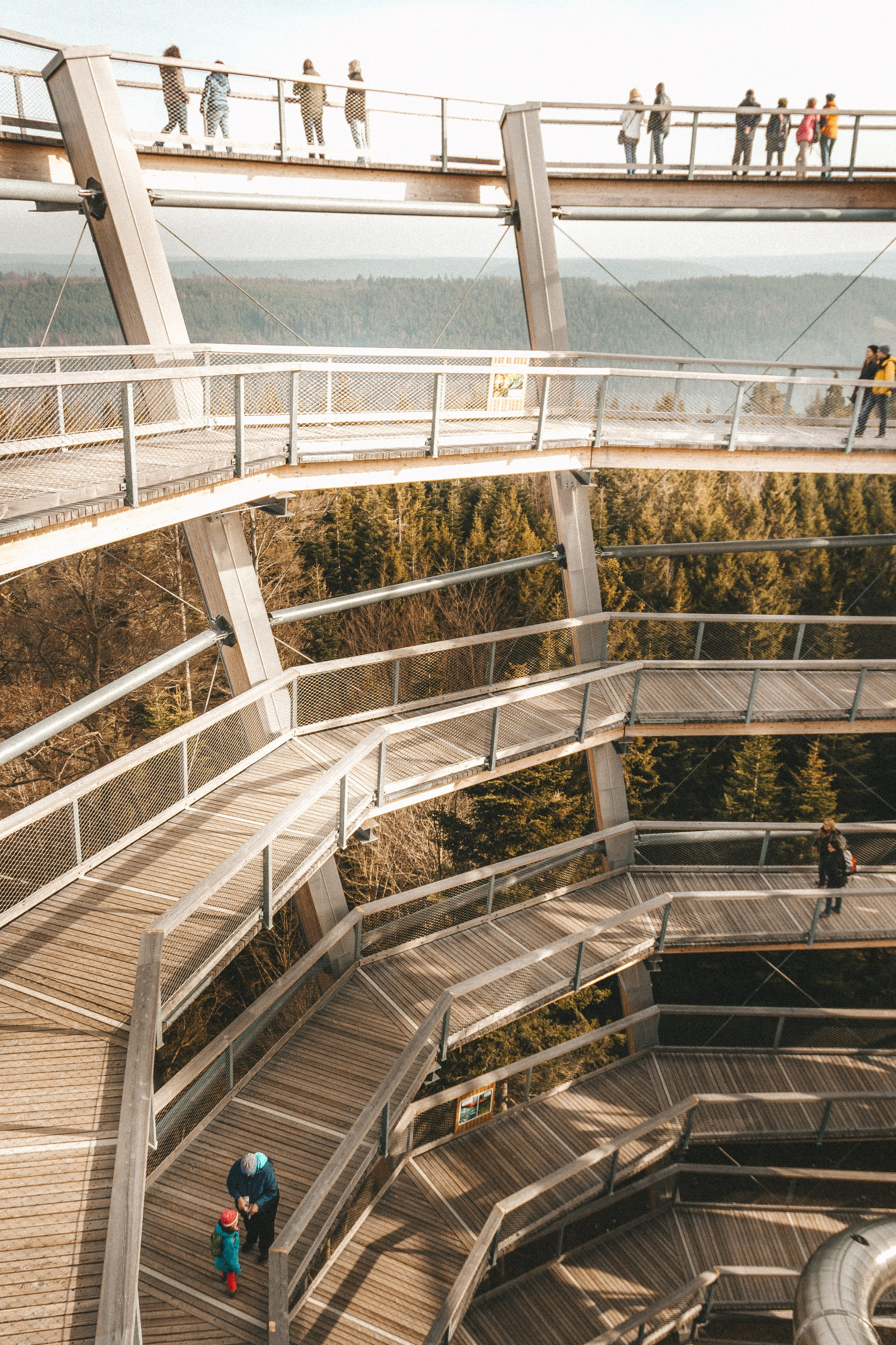 Над вершинами деревьев Baumwipfelpfad. Фотограф в Германии — Мария Чистякова