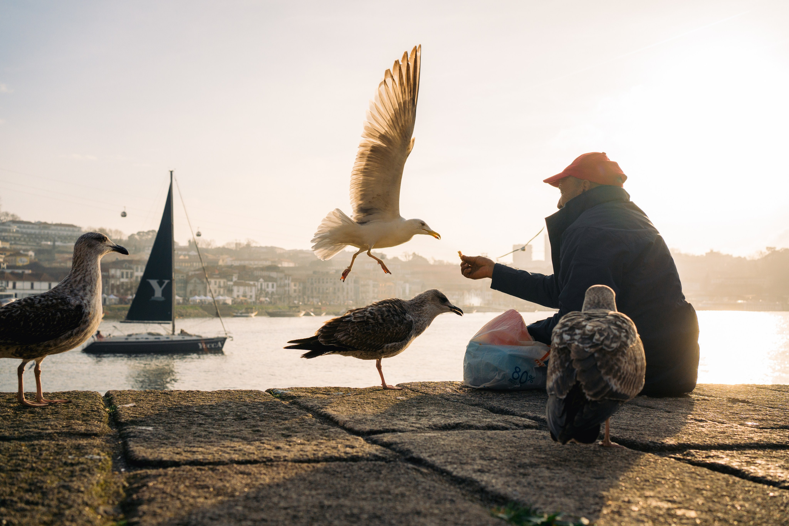 Street. Maria Sher. Professional photographer from Porto, Portugal