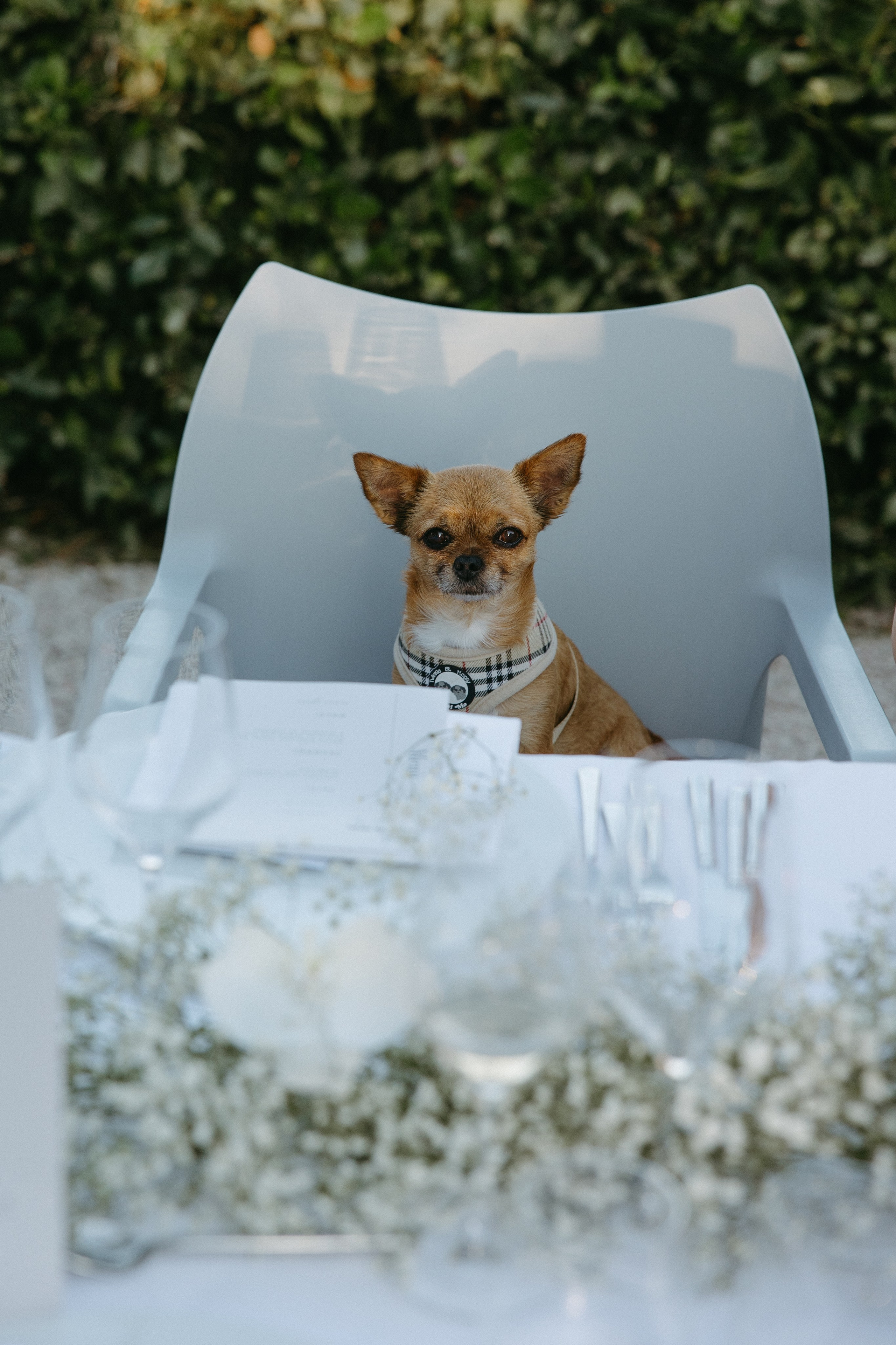 Sofia&Falk. Wedding photographer Italy