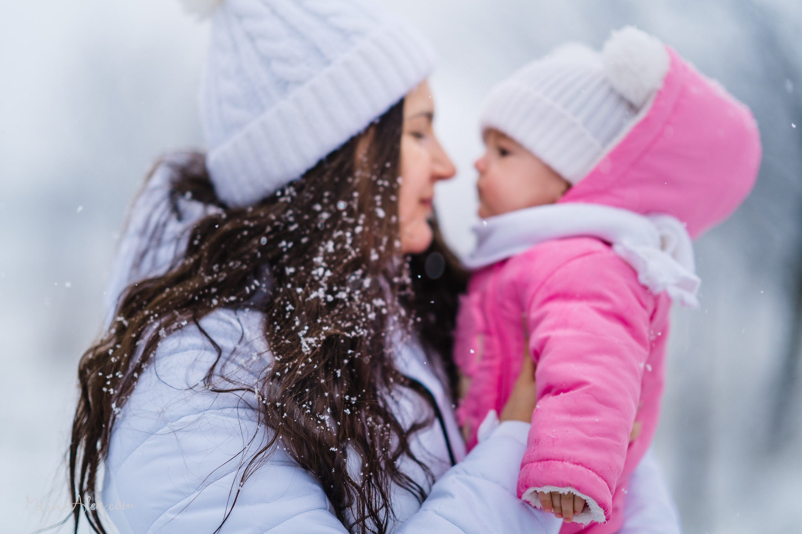 Fotografii în Suceava