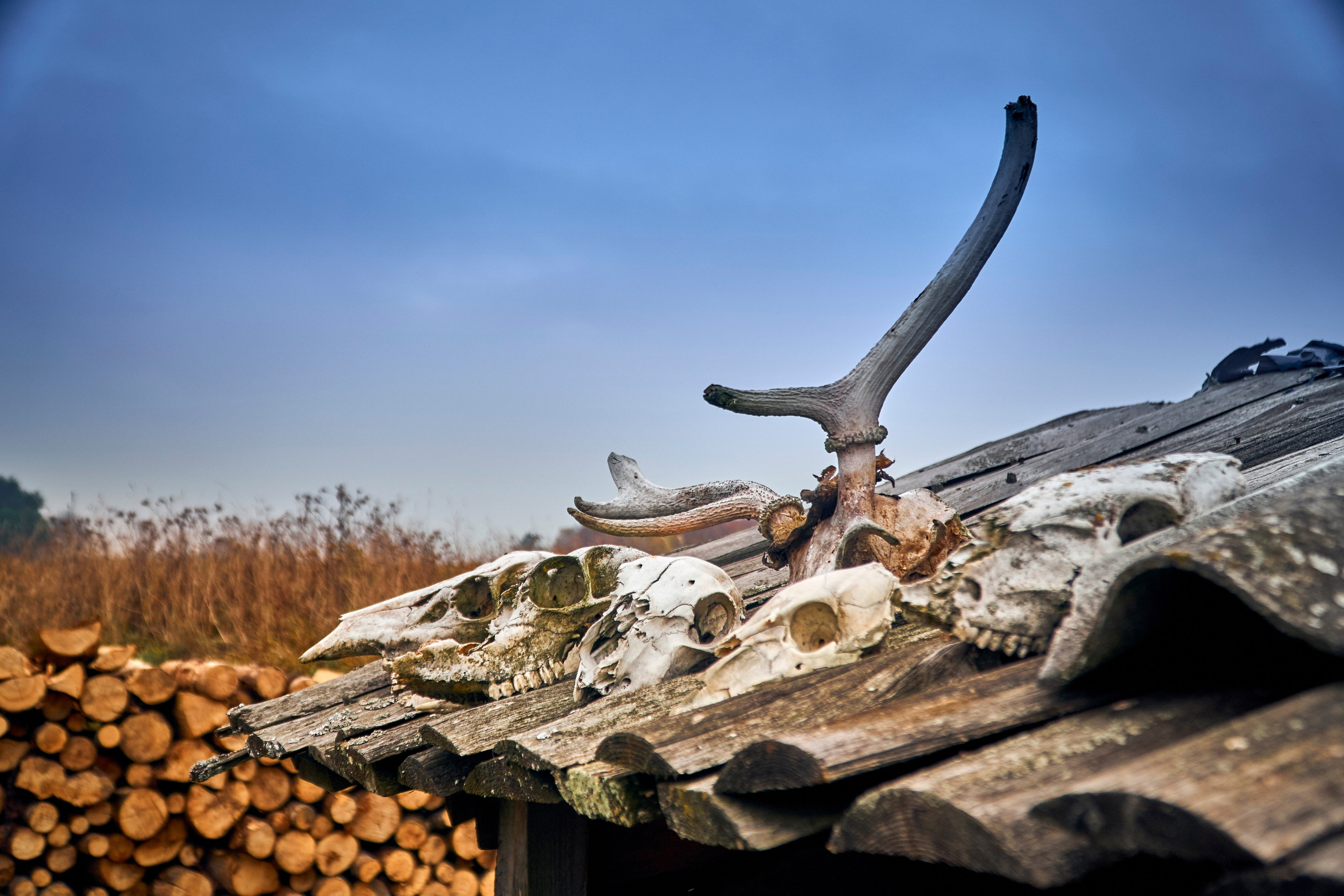 Bieszczady - tu zatrzymuje się czas. Andriej Szypilow - Fotografia & Wideografia