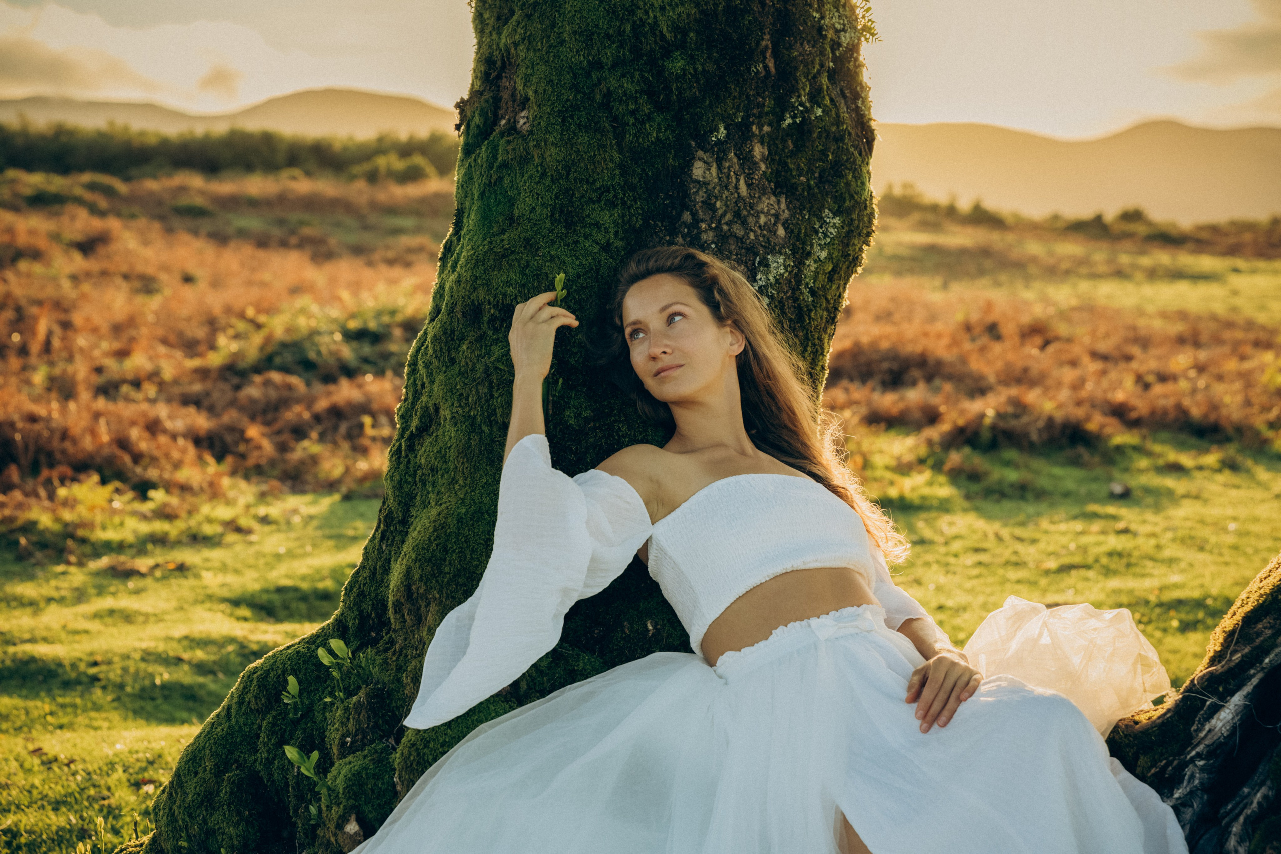 Professional photography in Madeira Photoshoot in the enchanting Fanal Forest