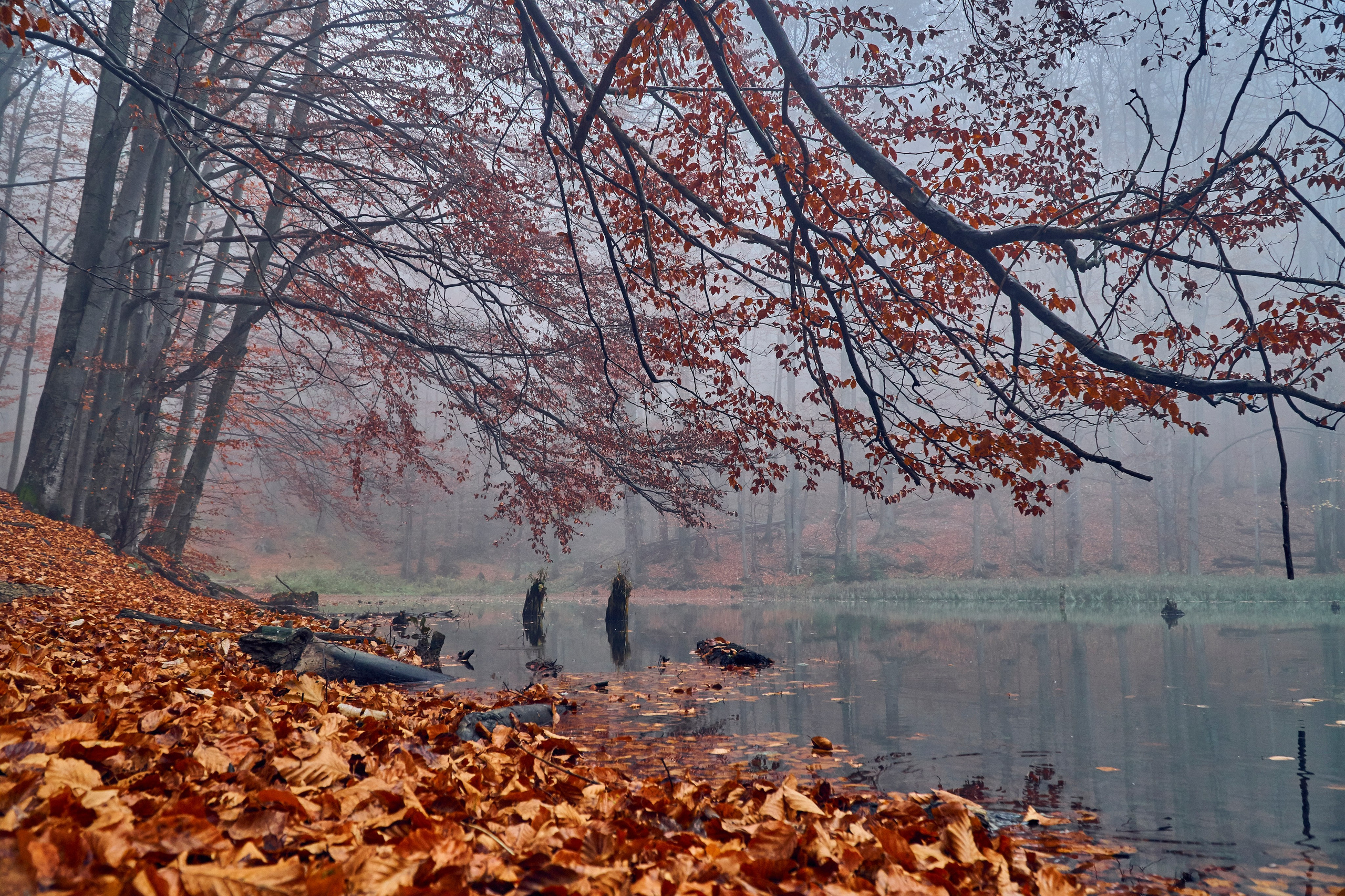 Bieszczady - tu zatrzymuje się czas. Andriej Szypilow - Fotografia & Wideografia