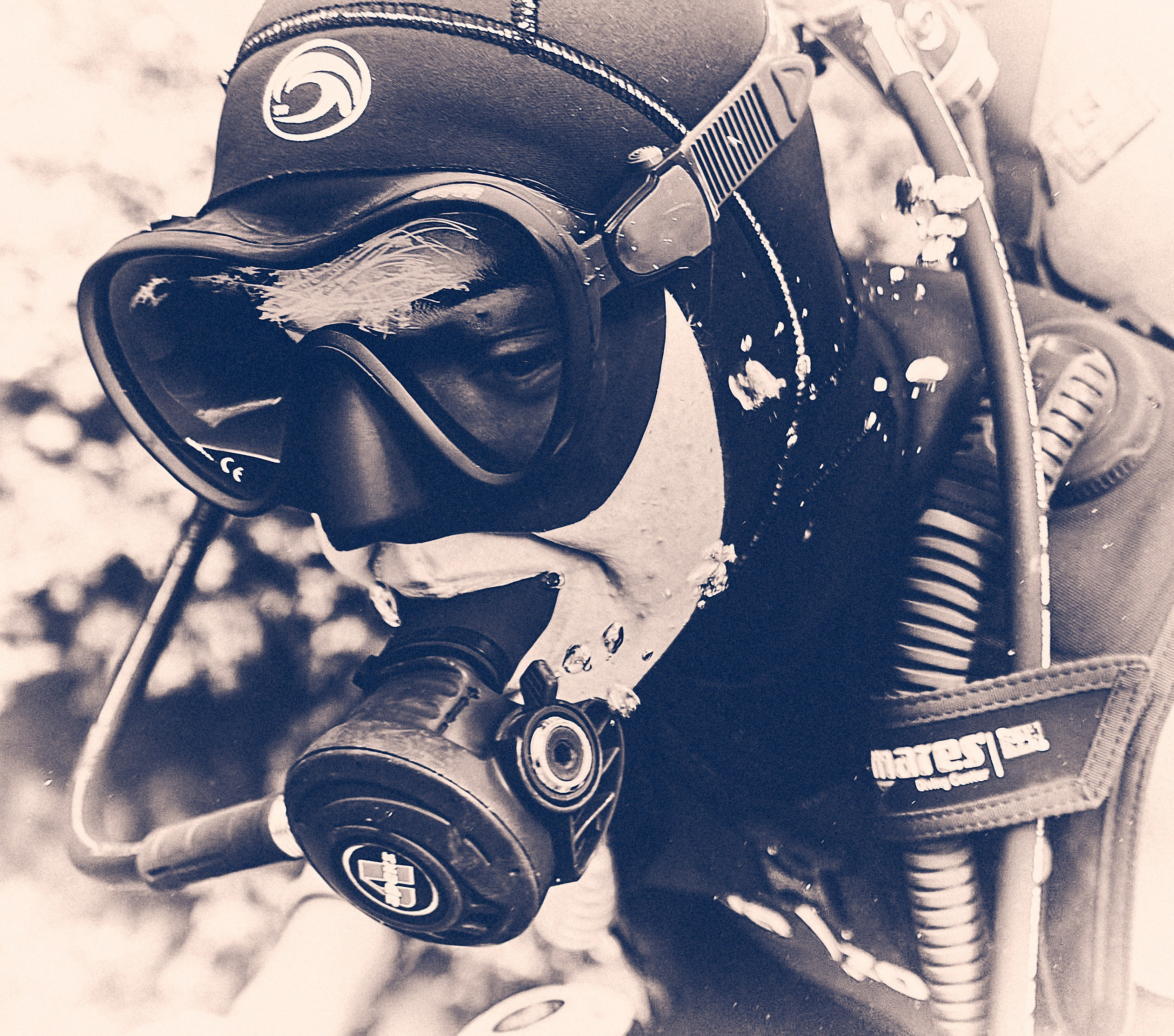 2023-11 - Diving Safari Deep South Egypt. Андрей Шипилов — Фотография & Видеография