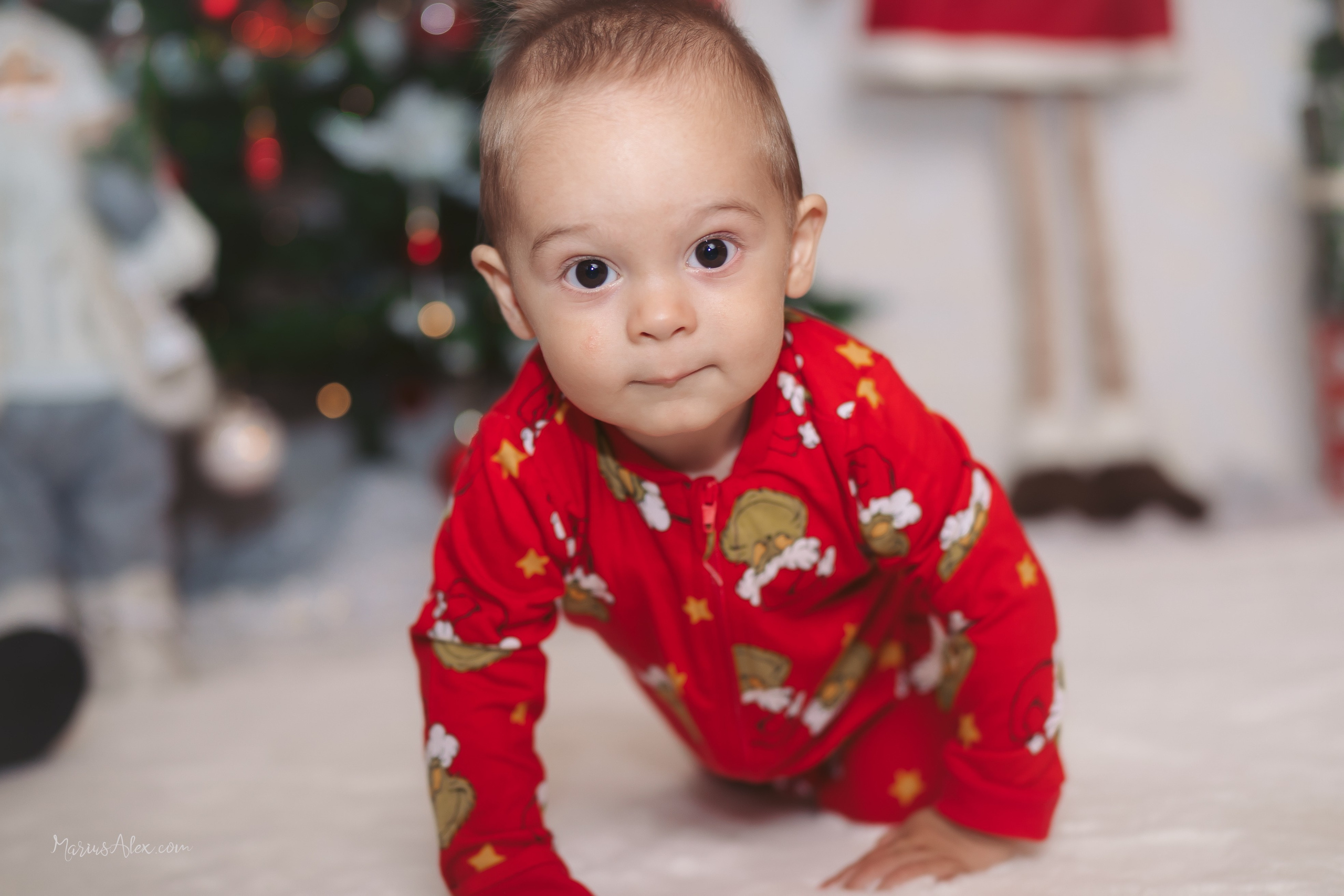 Familia Hacman - Un Crăciun de poveste. Marius Alex fotograf de eveniment si portret din Suceava