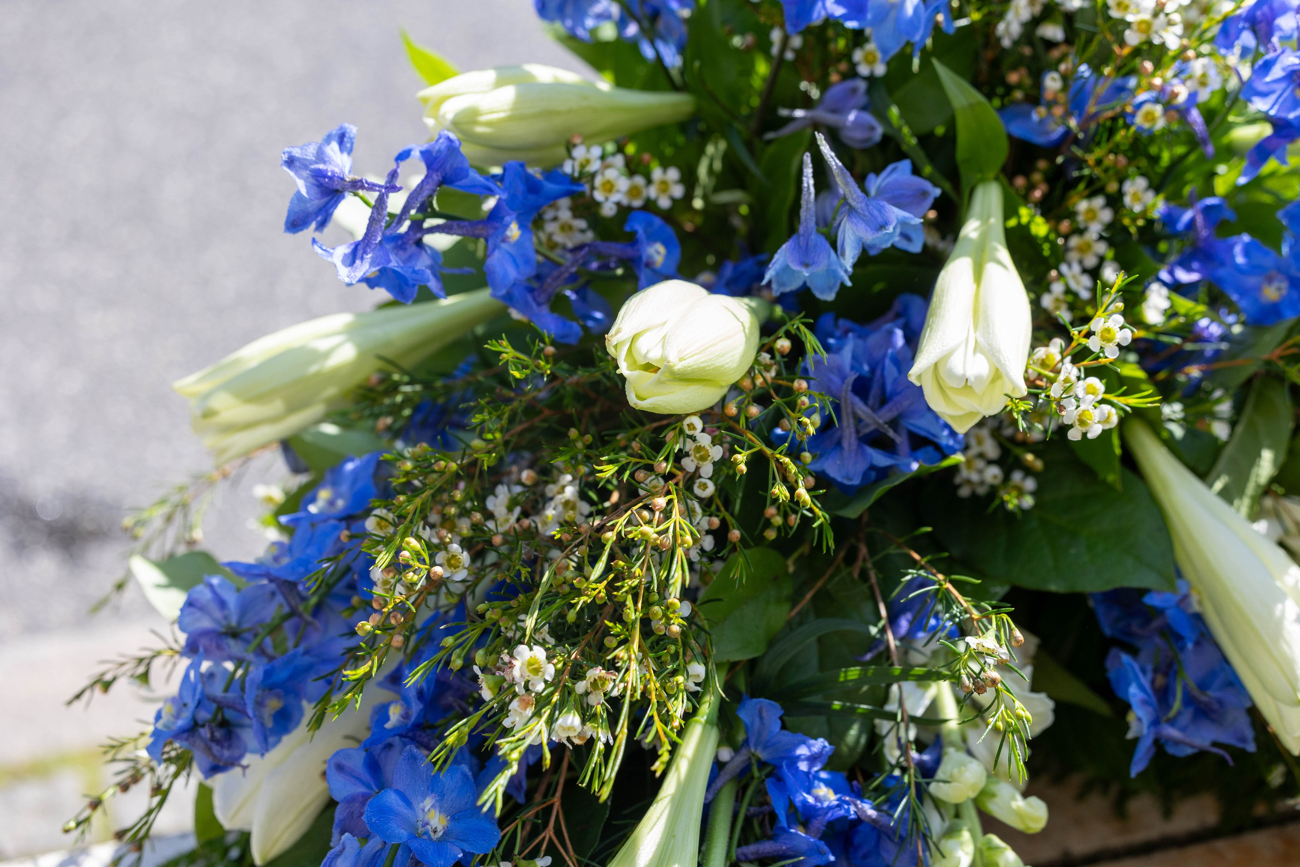 Ær en elsket med en smuk krans i blå og hvid fra Akropolis Blomster. De dybe blå og blide hvide farver symboliserer fred, respekt og værdighed. Bestil din krans i blå og hvid til begravelse i dag, og få den leveret i Aarhus og omegn.