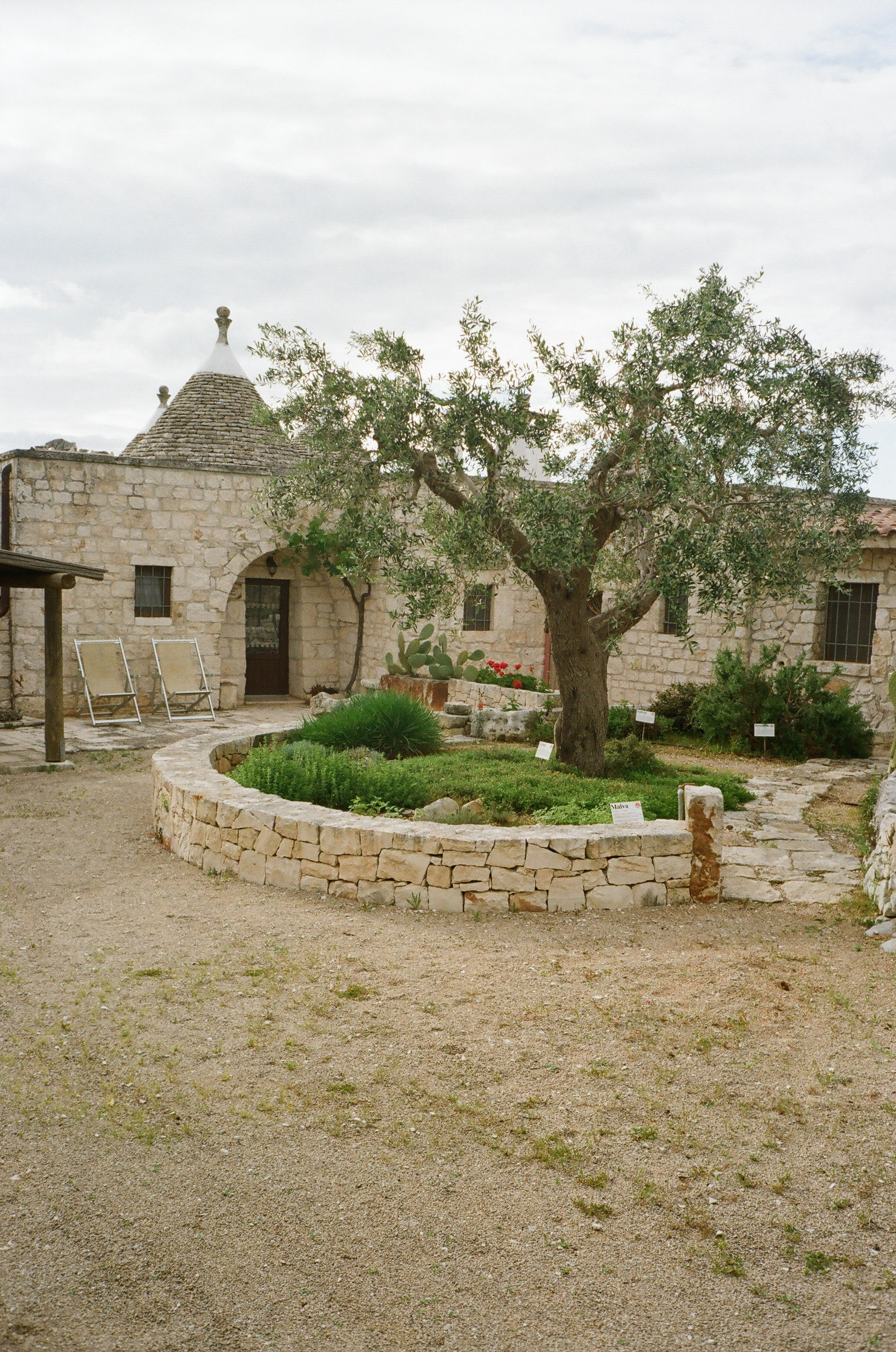 Stephanie & Christian film photos. Wedding photographer Italy