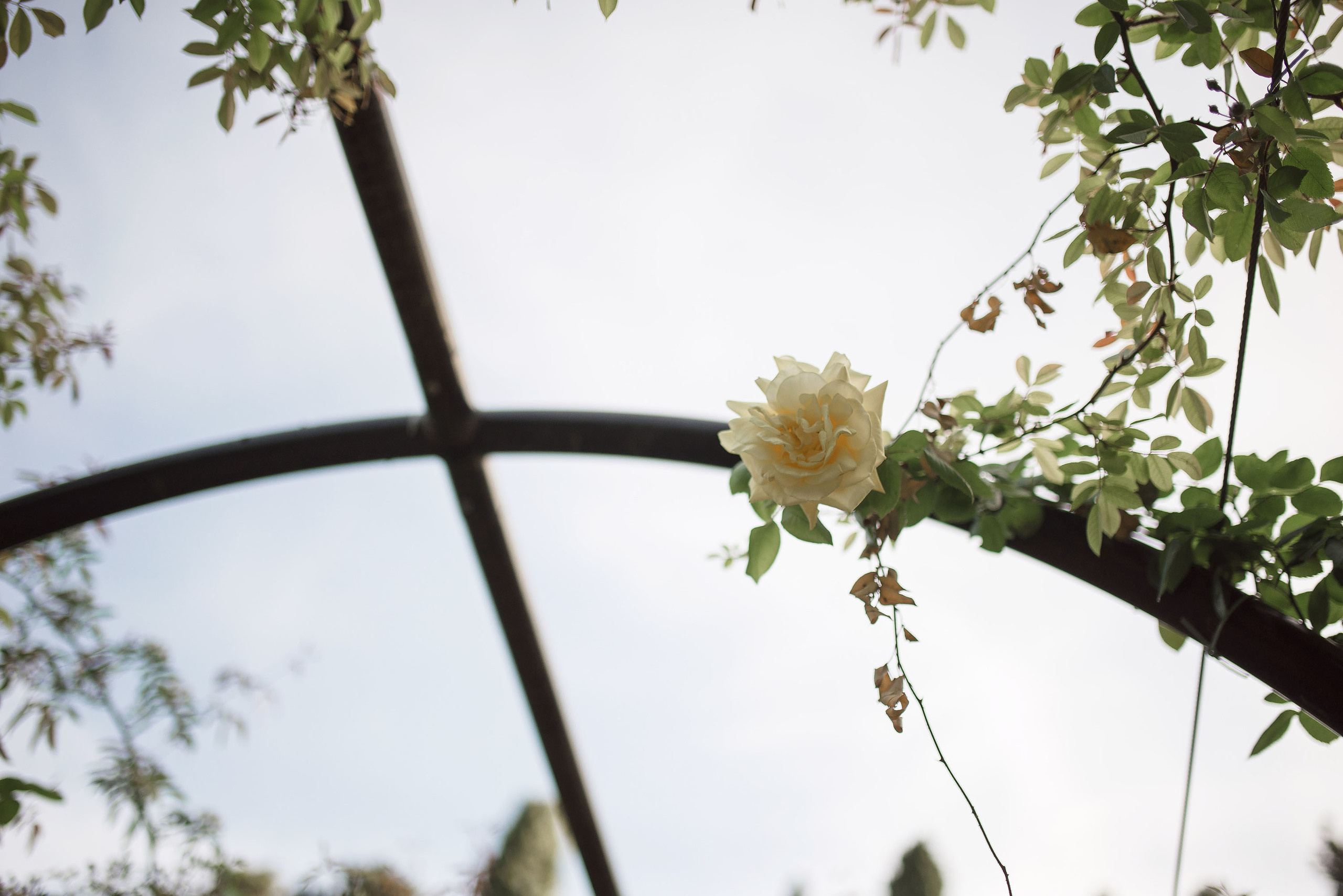 Preboda Parque Grande José Antonio Labordeta / Fotografo Zaragoza. PIXLOVE - Fotógrafos de bodas Huesca Pirineos Zaragoza