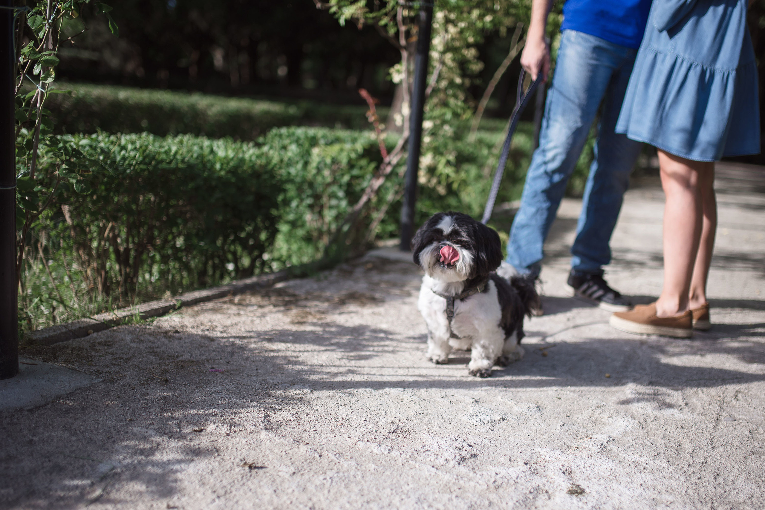Preboda Parque Grande José Antonio Labordeta / Fotografo Zaragoza. PIXLOVE - Fotógrafos de bodas Huesca Pirineos Zaragoza