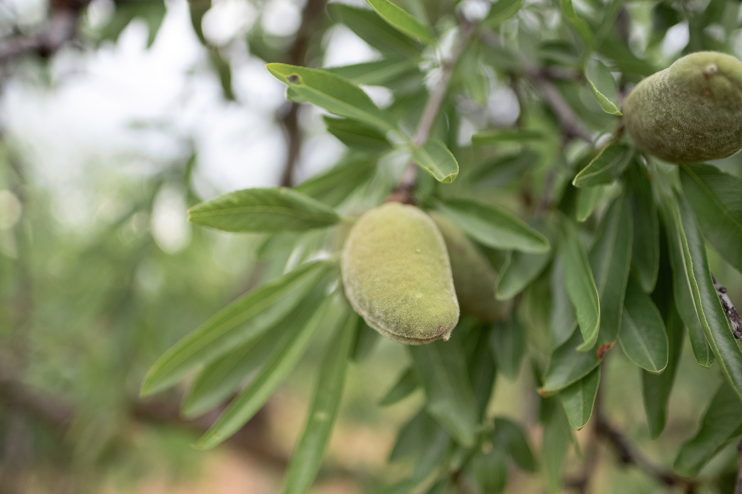 Preboda Lagunarrota / Estela y Eduardo / Fotografos boda Zaragoza. PIXLOVE - Fotógrafos de bodas Huesca Pirineos Zaragoza