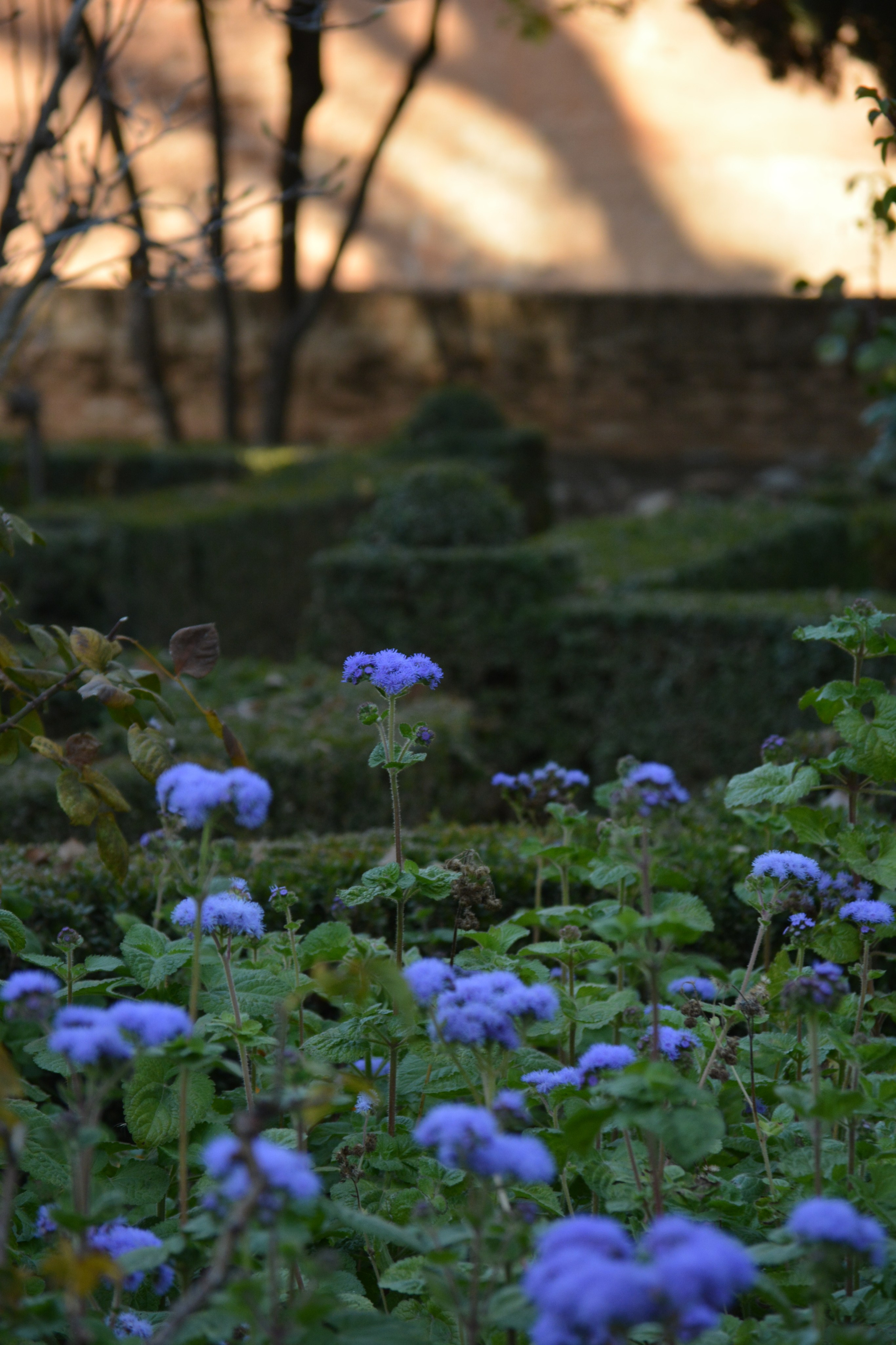 Cosas Bonitas. Yuliia Foto