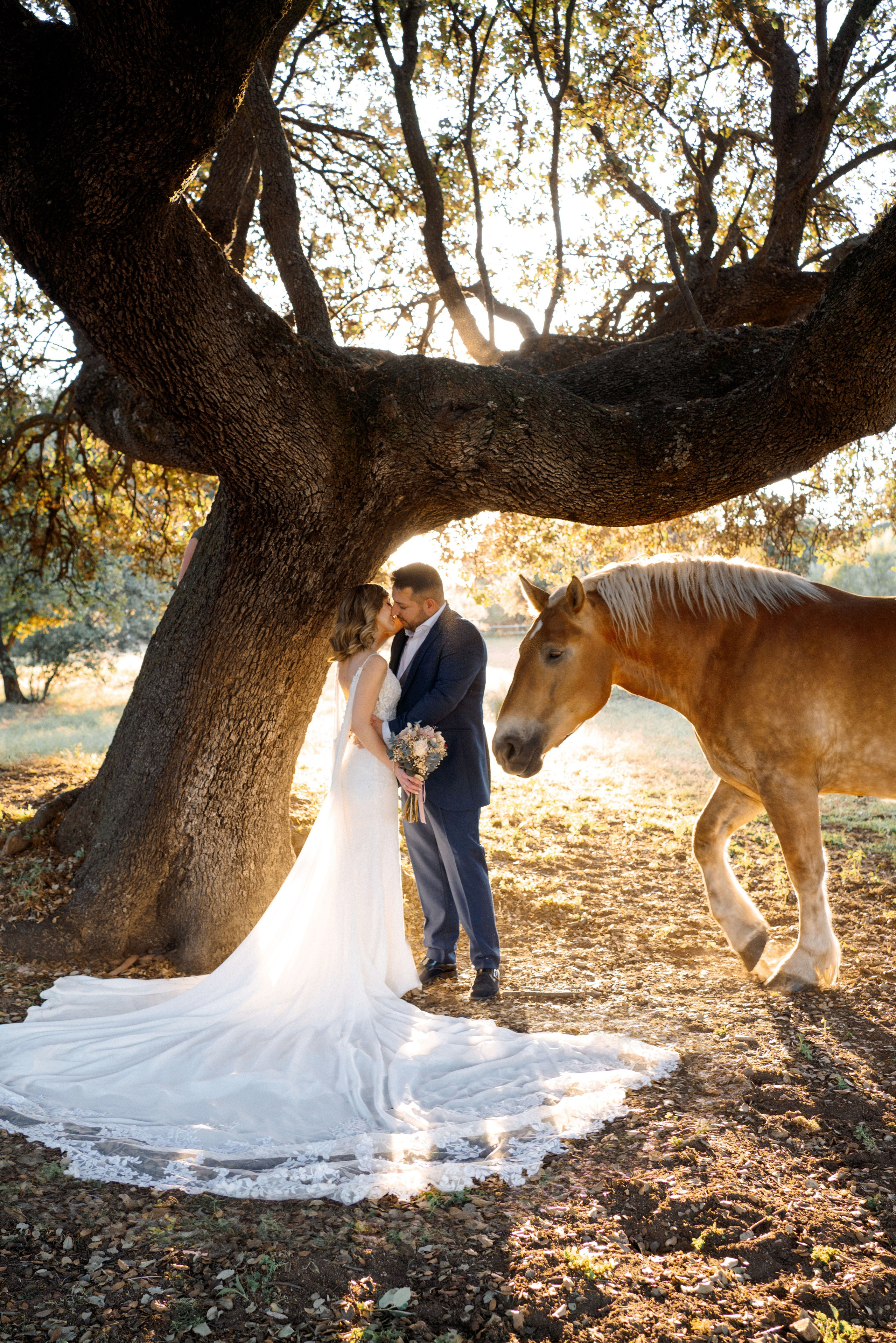 Fotos con caballos. Fotógrafa en Madrid | Retratos femeninos, familia y sesiones con caballos – Anna Maruleva