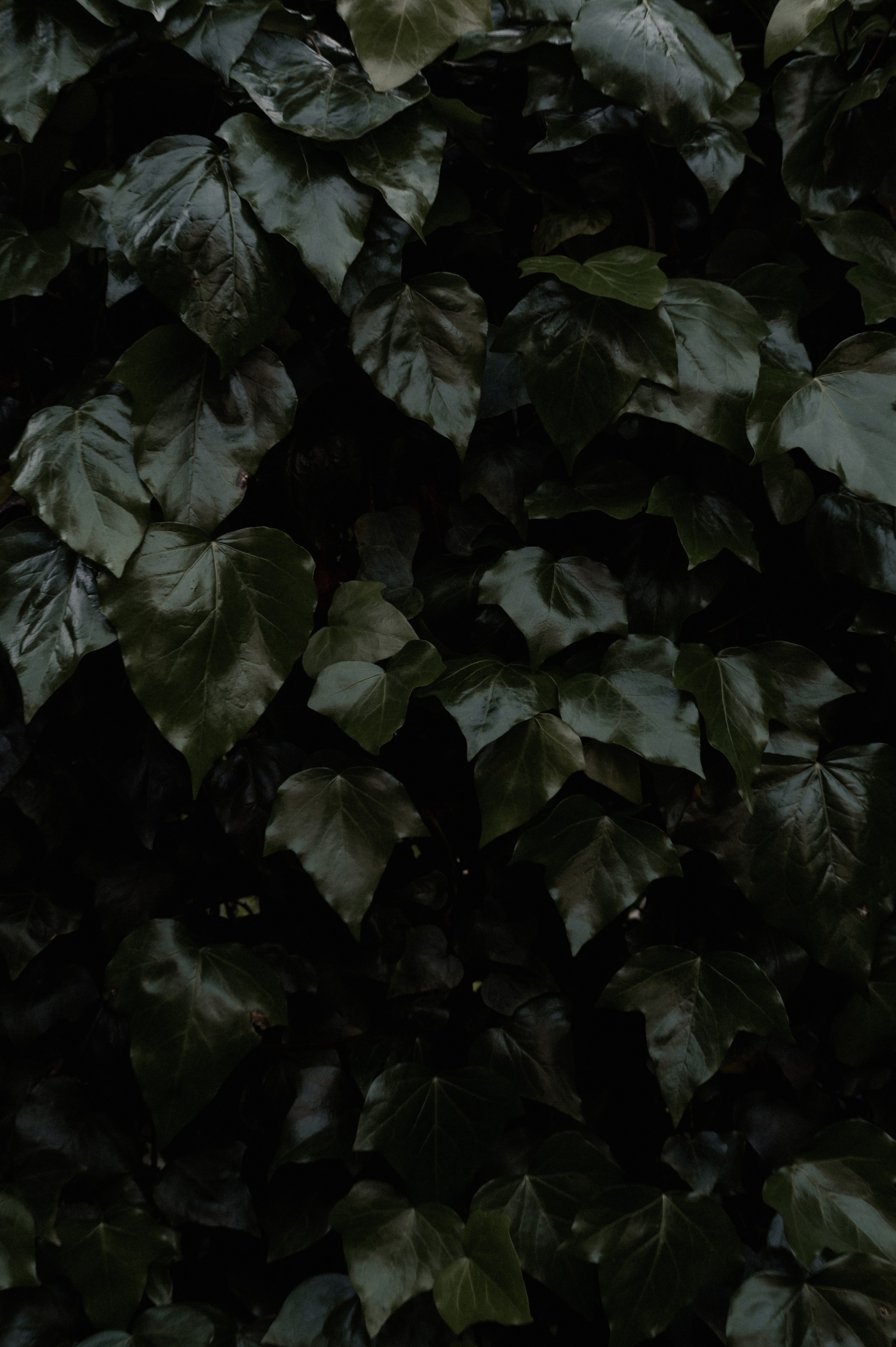 Zuhause im Herzen | Shooting an der Ozeanküste. Фотограф в Нюрнберге Ирина Менерт из Ансбаха