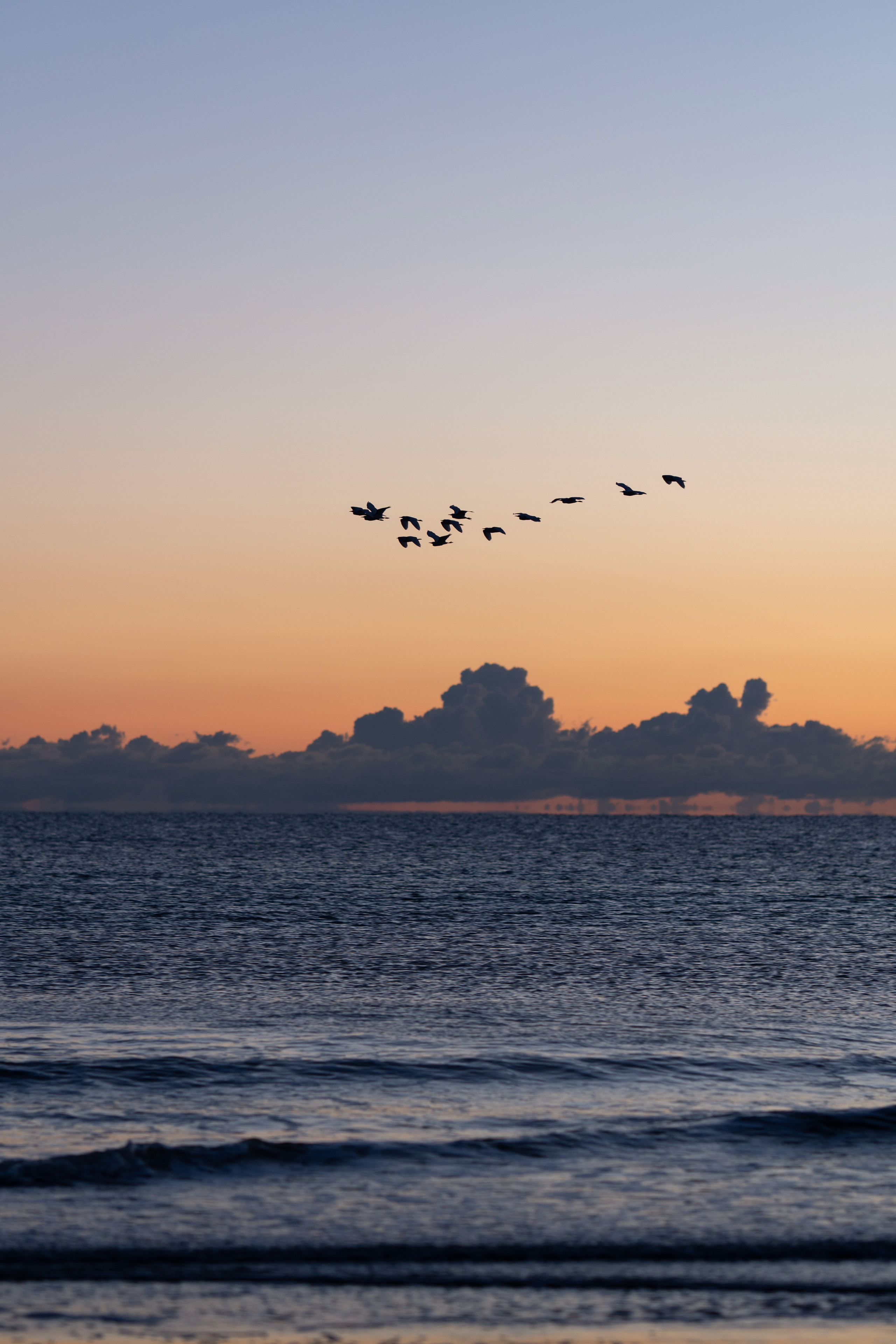 Mirko & Sofia. Wedding photographer Natalia