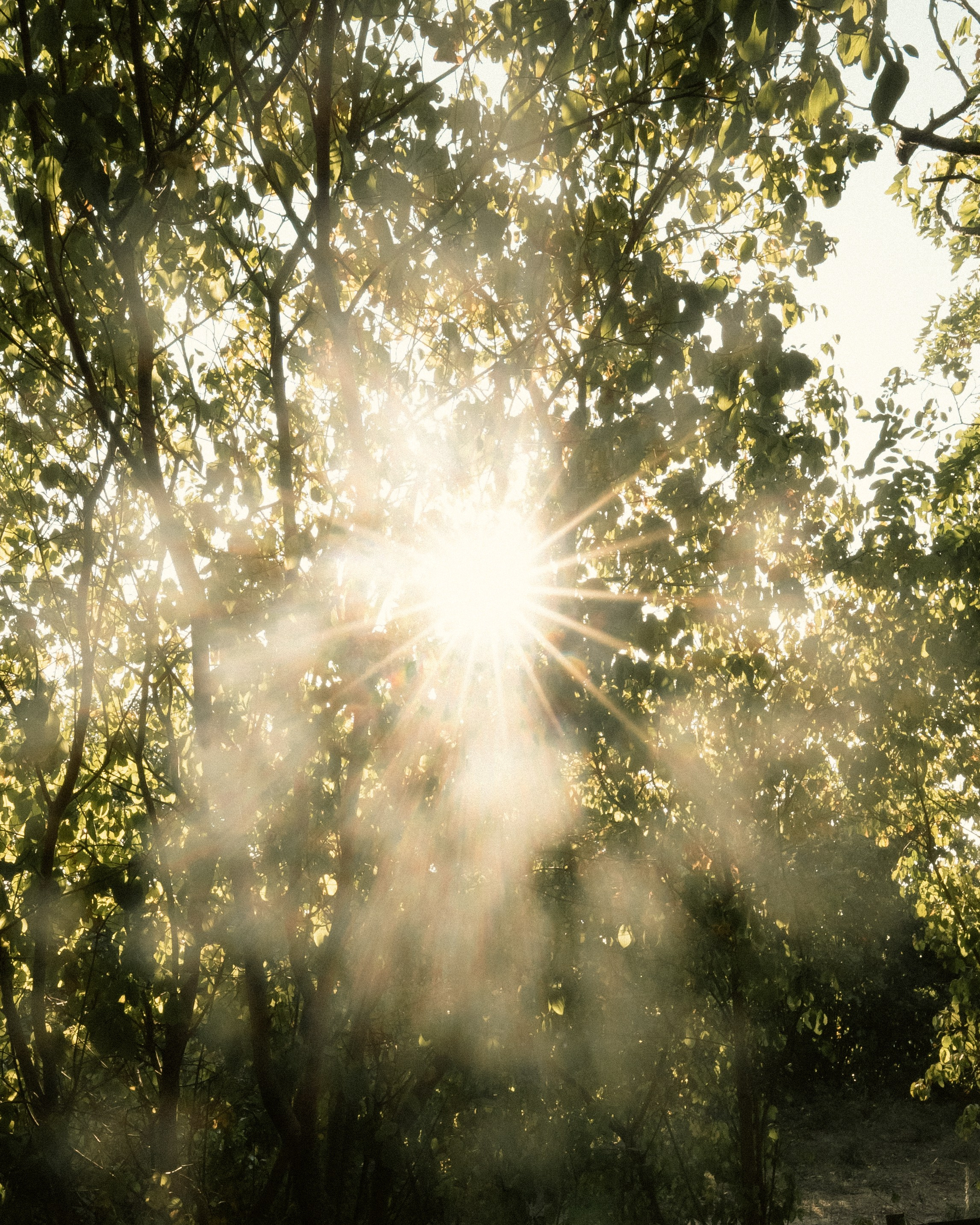 Secret Garden Rave. Stevenson.Visual.Lab — Professional Photo/Video in Berlin