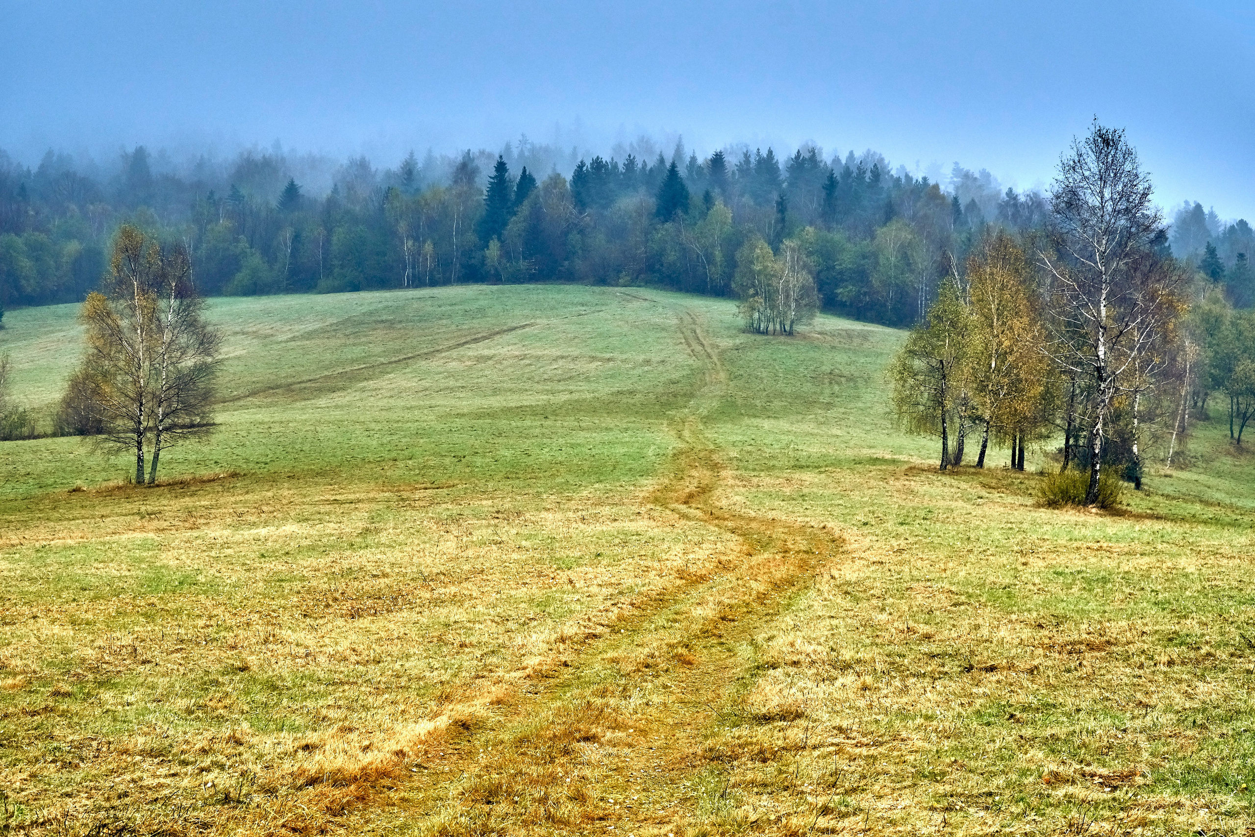 Bieszczady - tu zatrzymuje się czas. Andriej Szypilow - Fotografia & Wideografia