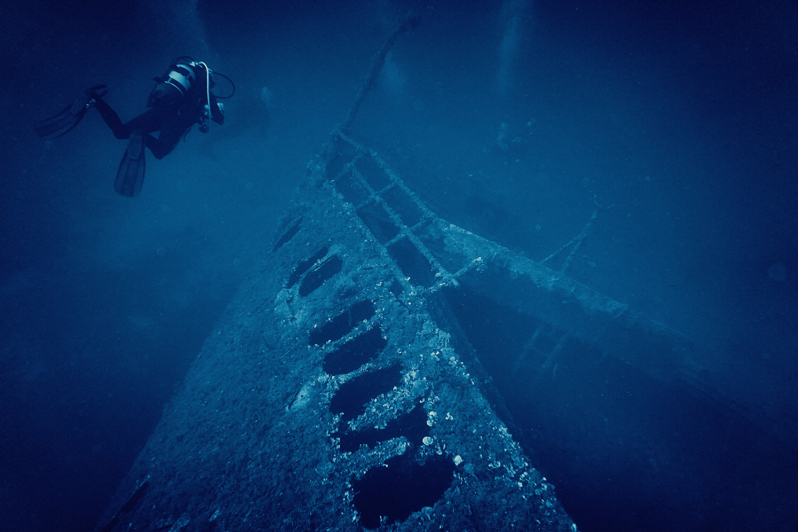 Fotograf podwodny Andriej Szypiłow. Andriej Szypilow - Fotografia & Wideografia