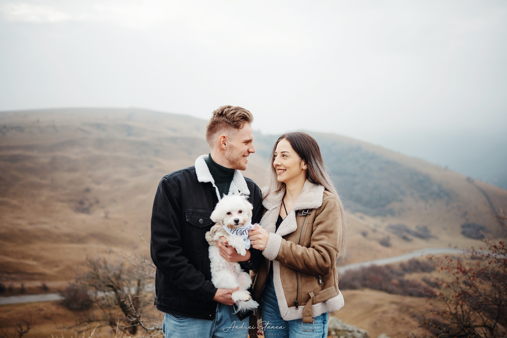 Portofolio. Andrei Stanea