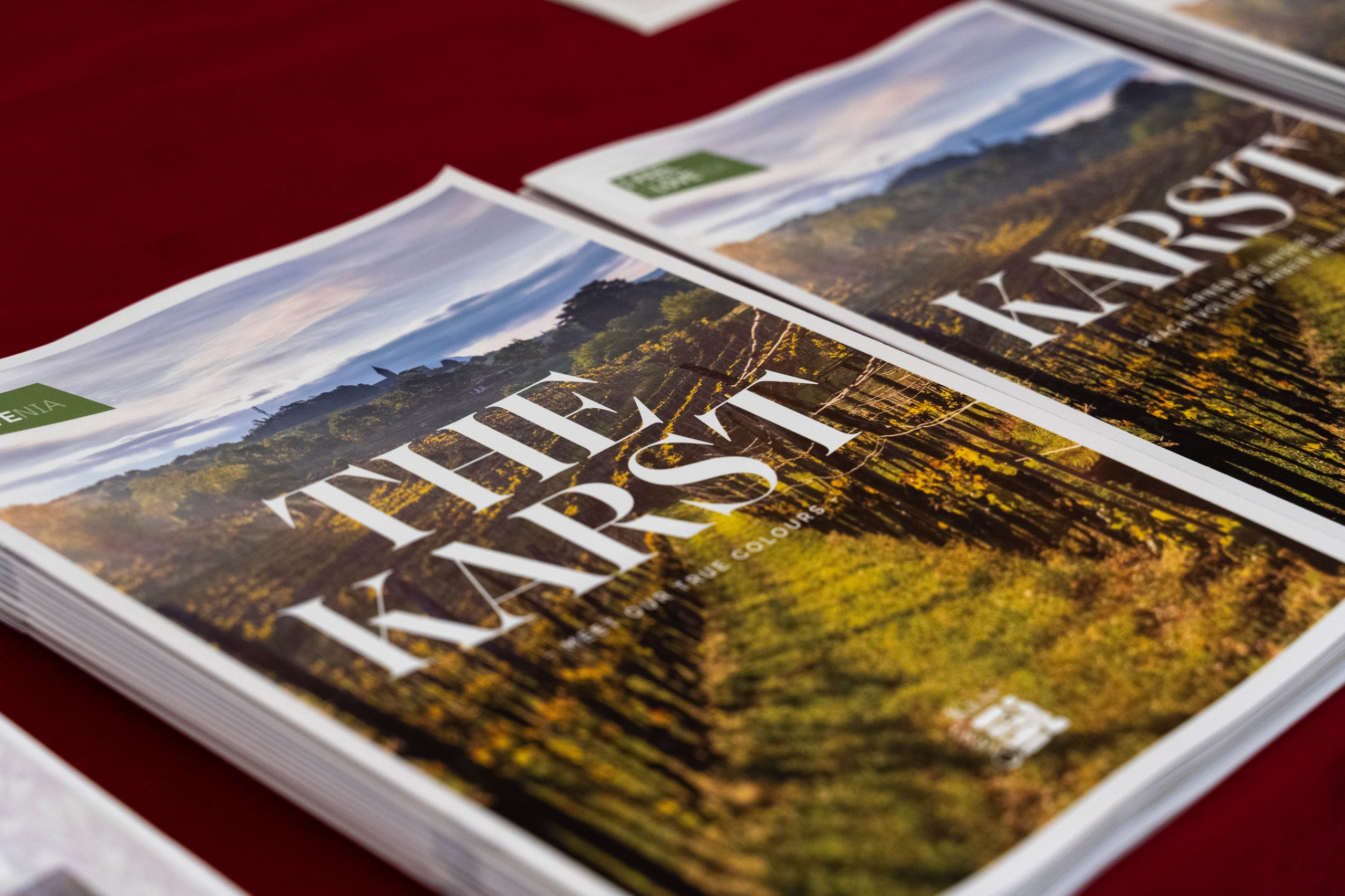 Razstava o vojaški bolnišnici Feldspital 808. Photographer Mariia Bortiakova