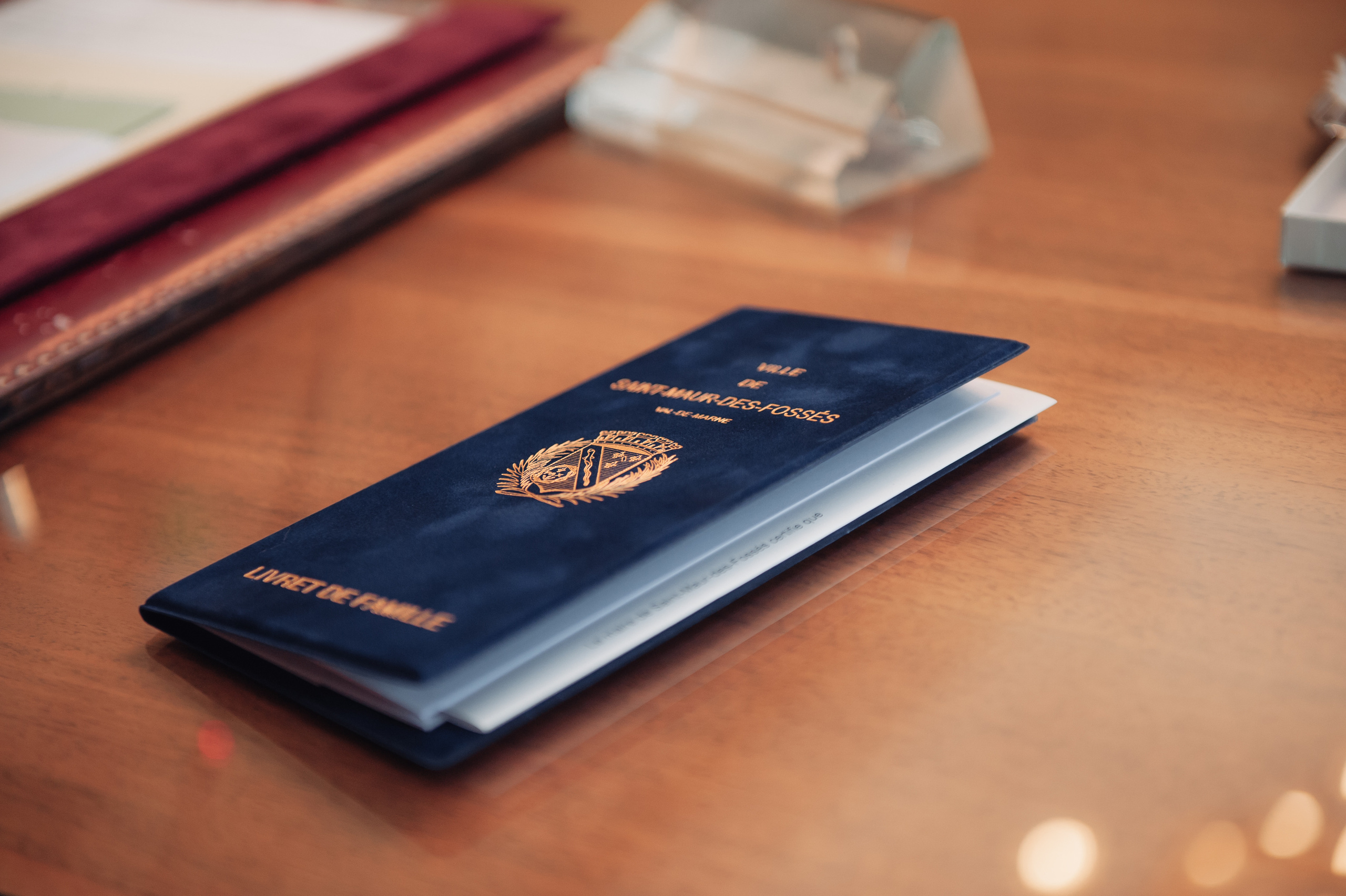 Vitek&Katrin | Paris. Wedding Photographer Paris|Franta