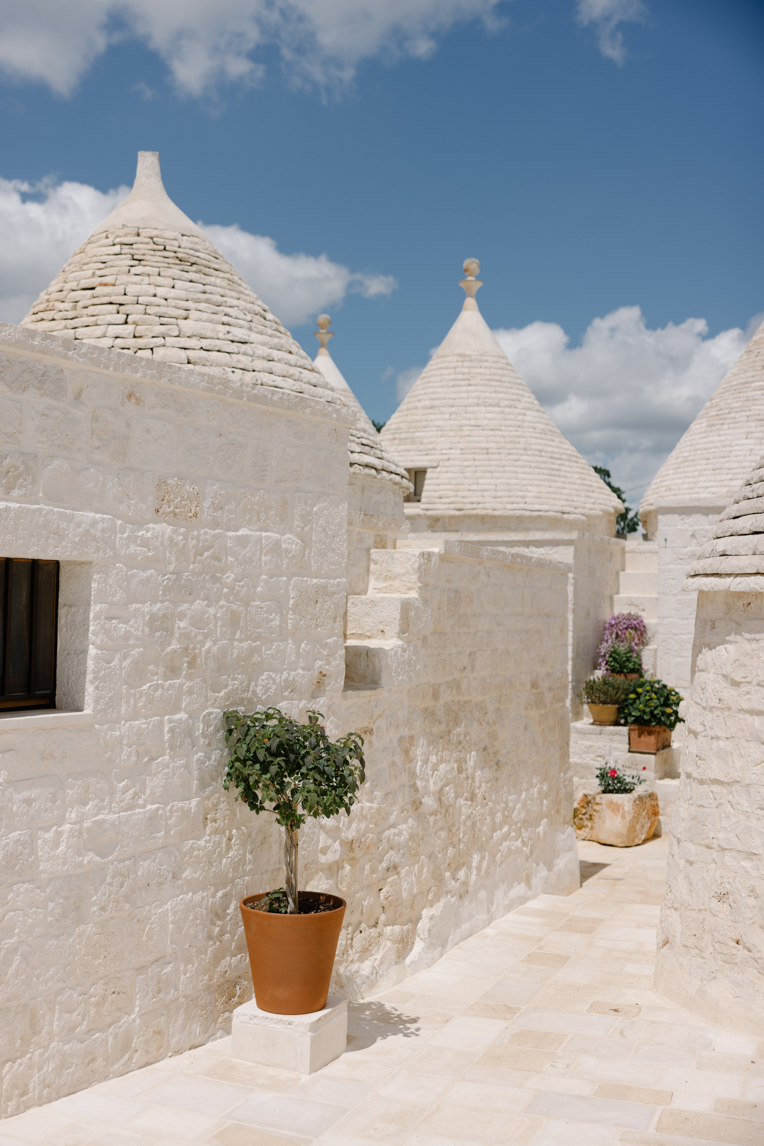 2. Весільний фотограф Вікторія Саврук