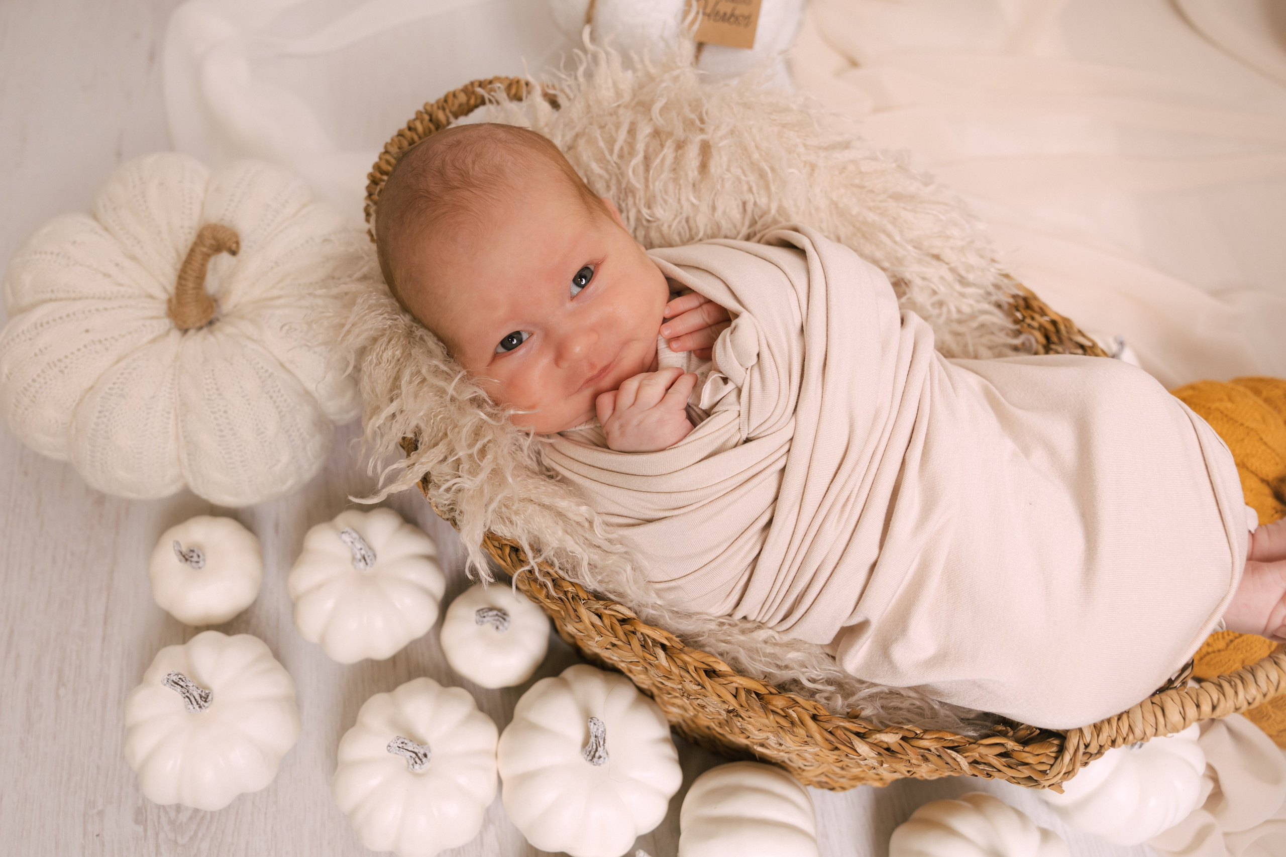 zabalené miminko v koší