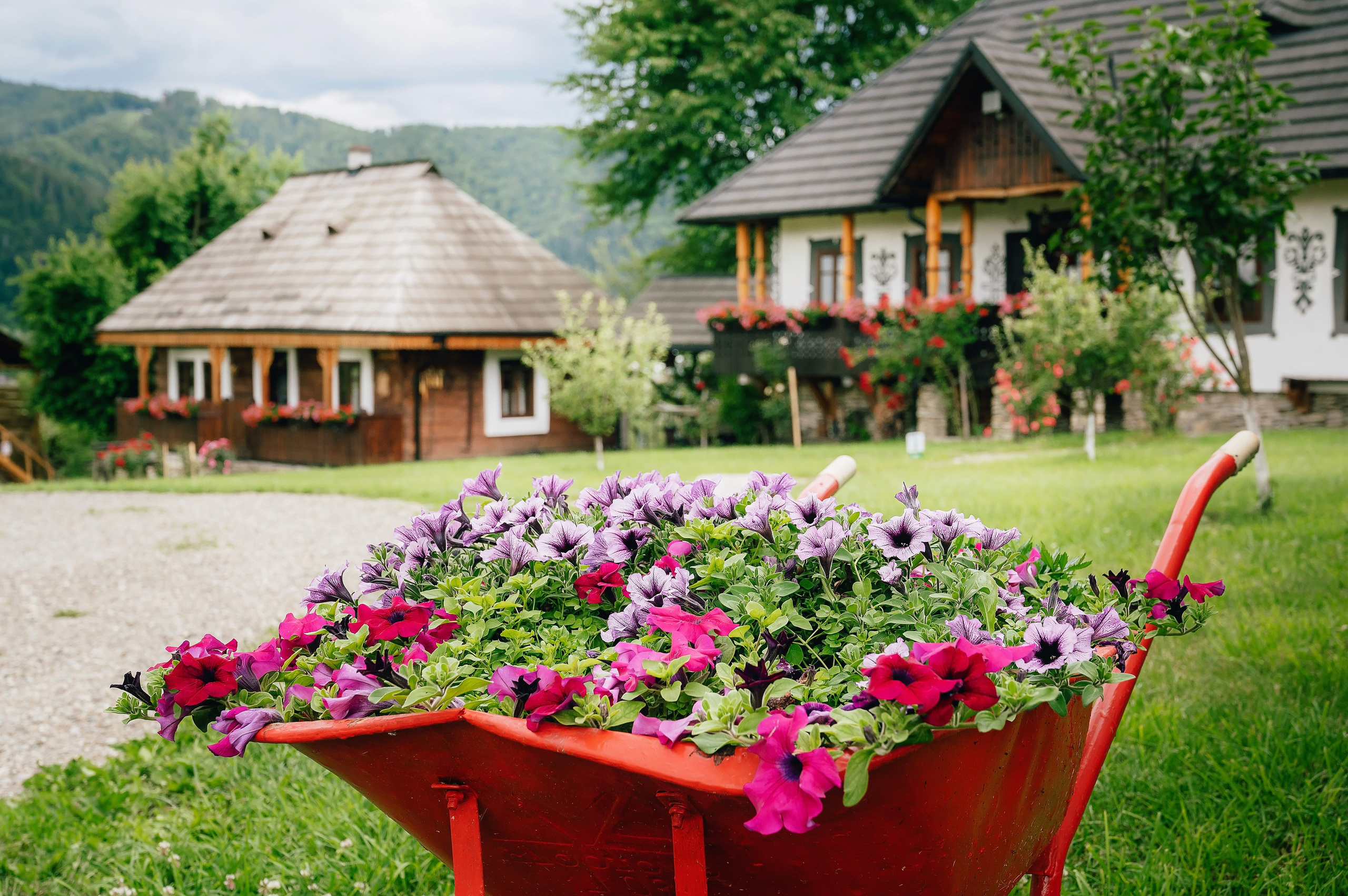 Pensiuni. George Boicu — Fotograf — Gura Humorului