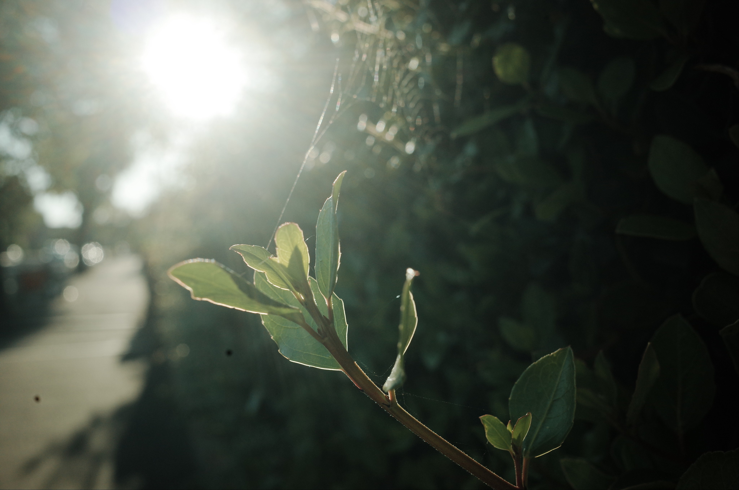 Angry walk of not belonging. Victoria Dini. Art photography in London / Folkestone, UK