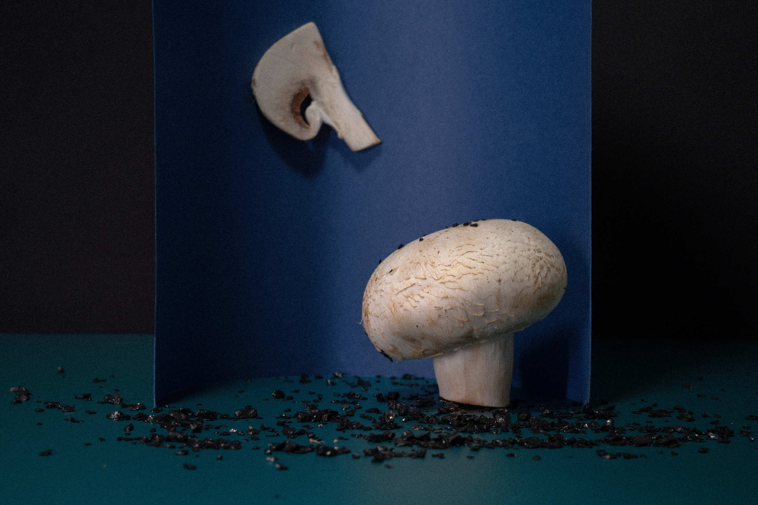 Factory (2023). Антонова | фото