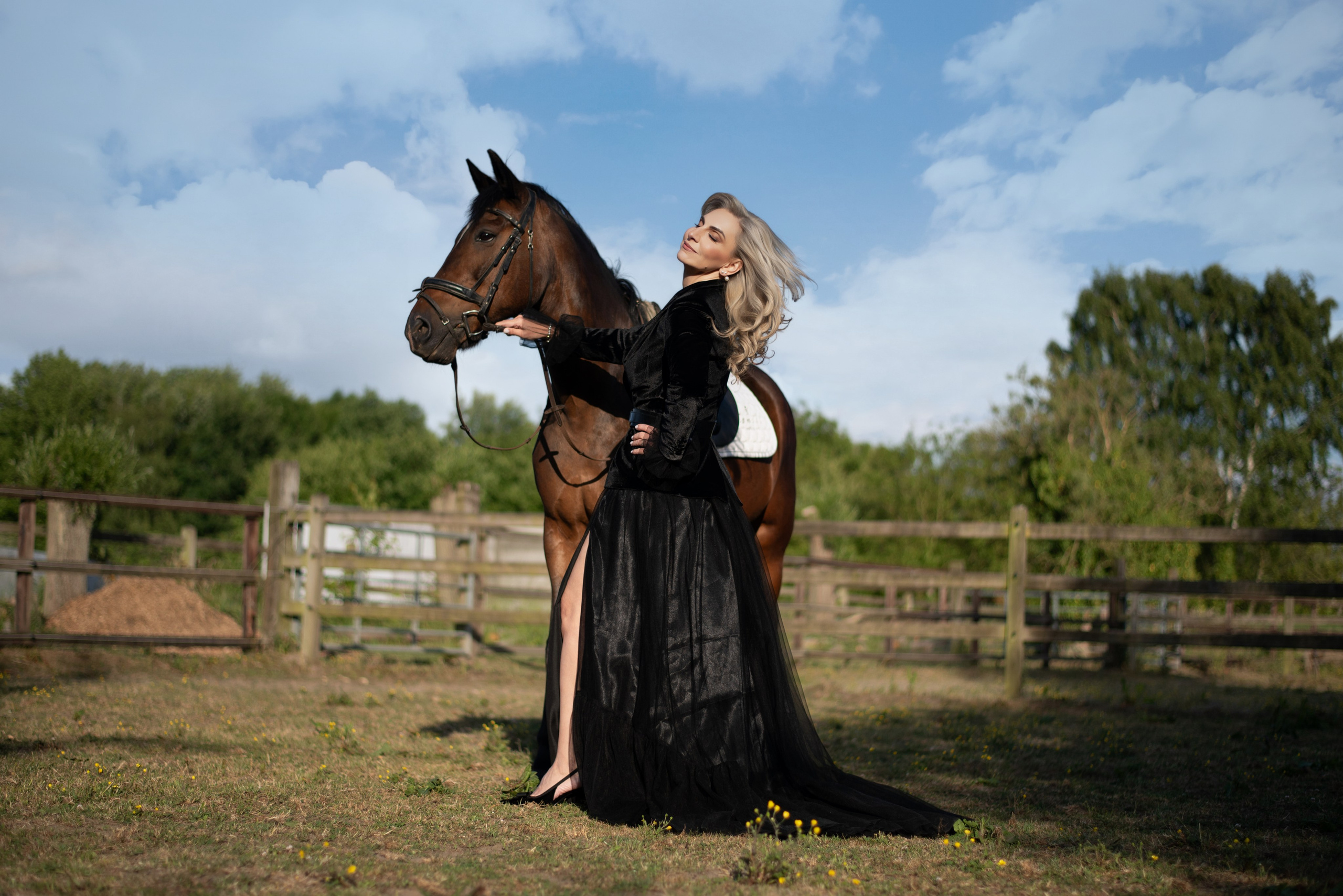 Photoshoot with Horses. Professional Photograher, Antwerpen/Belgium
