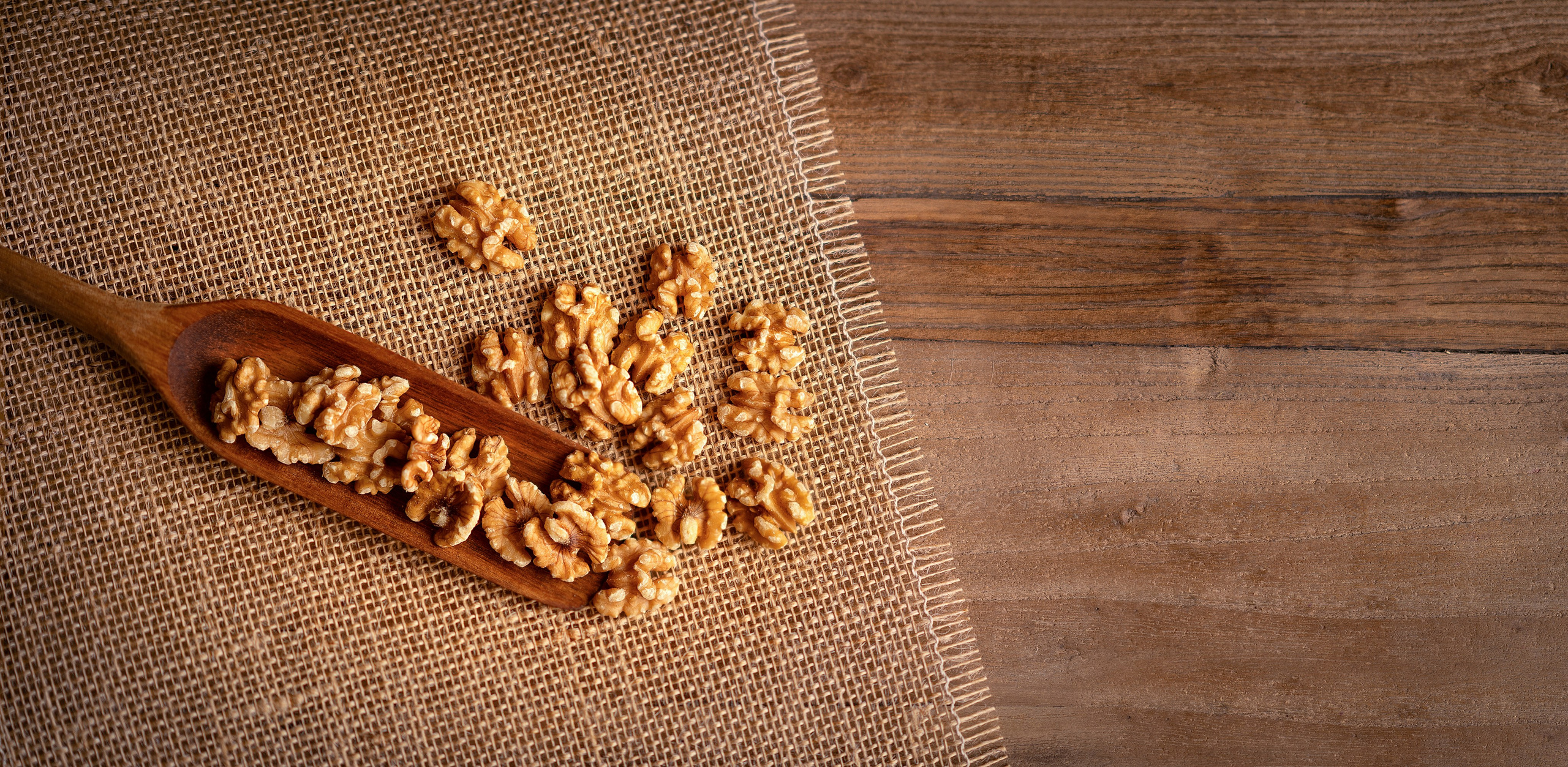 SERVICIOS. Fotógrafo Madrid. España. Elena Lukicheva