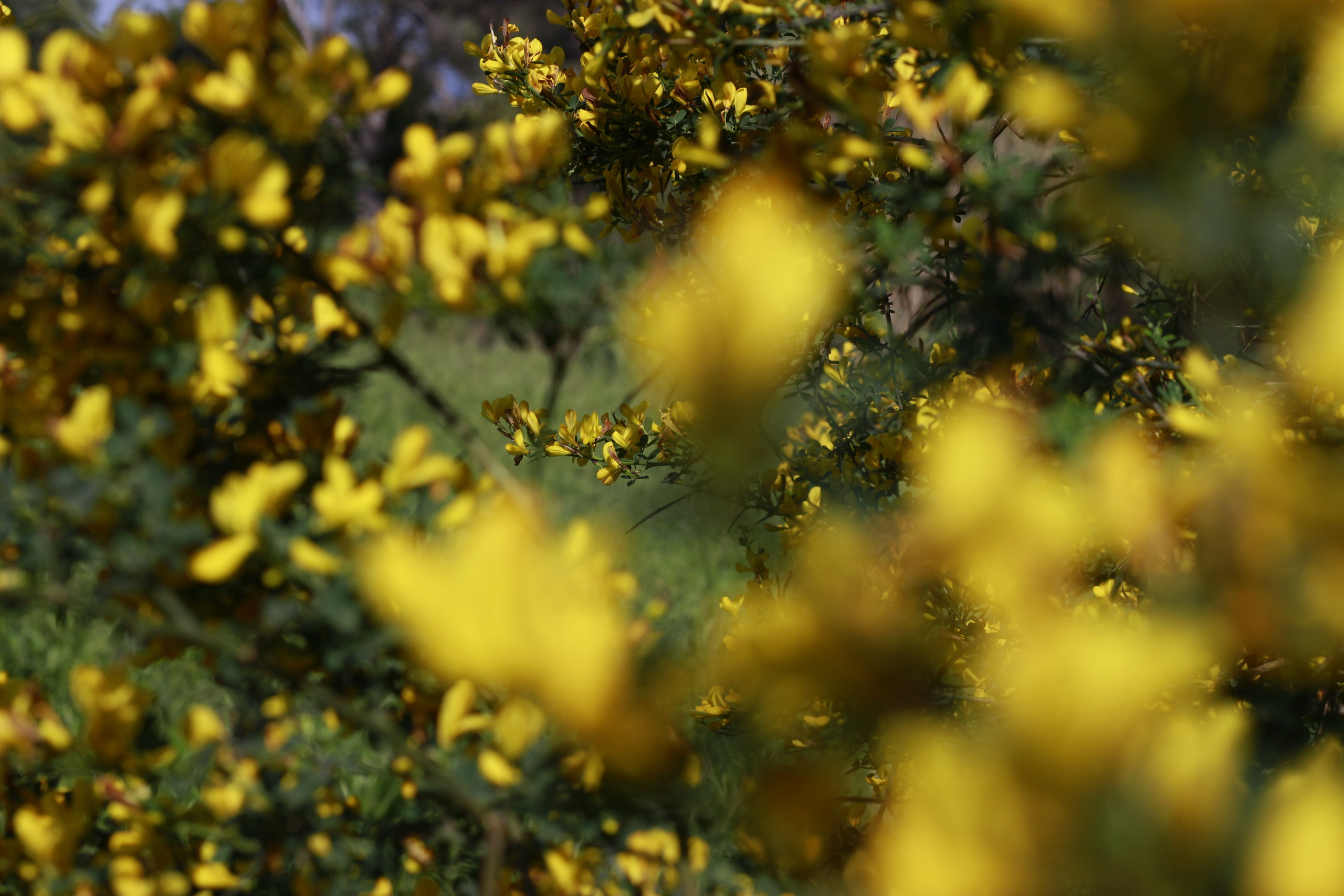 People. Photographe à la Seyne sur Mer, Var