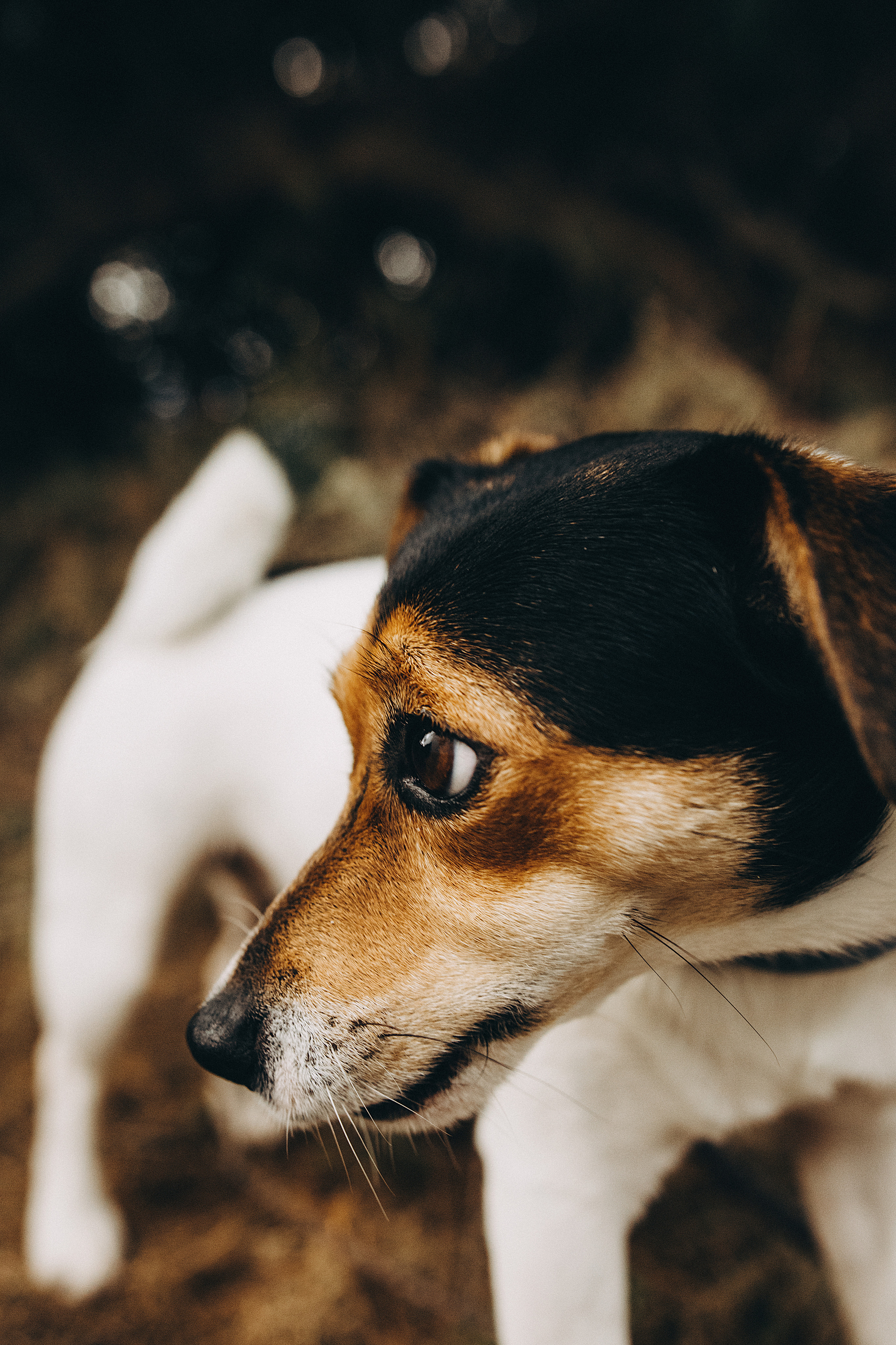 Elena & Vlad. Fotógrafo en Tenerife Edgar Zubarev