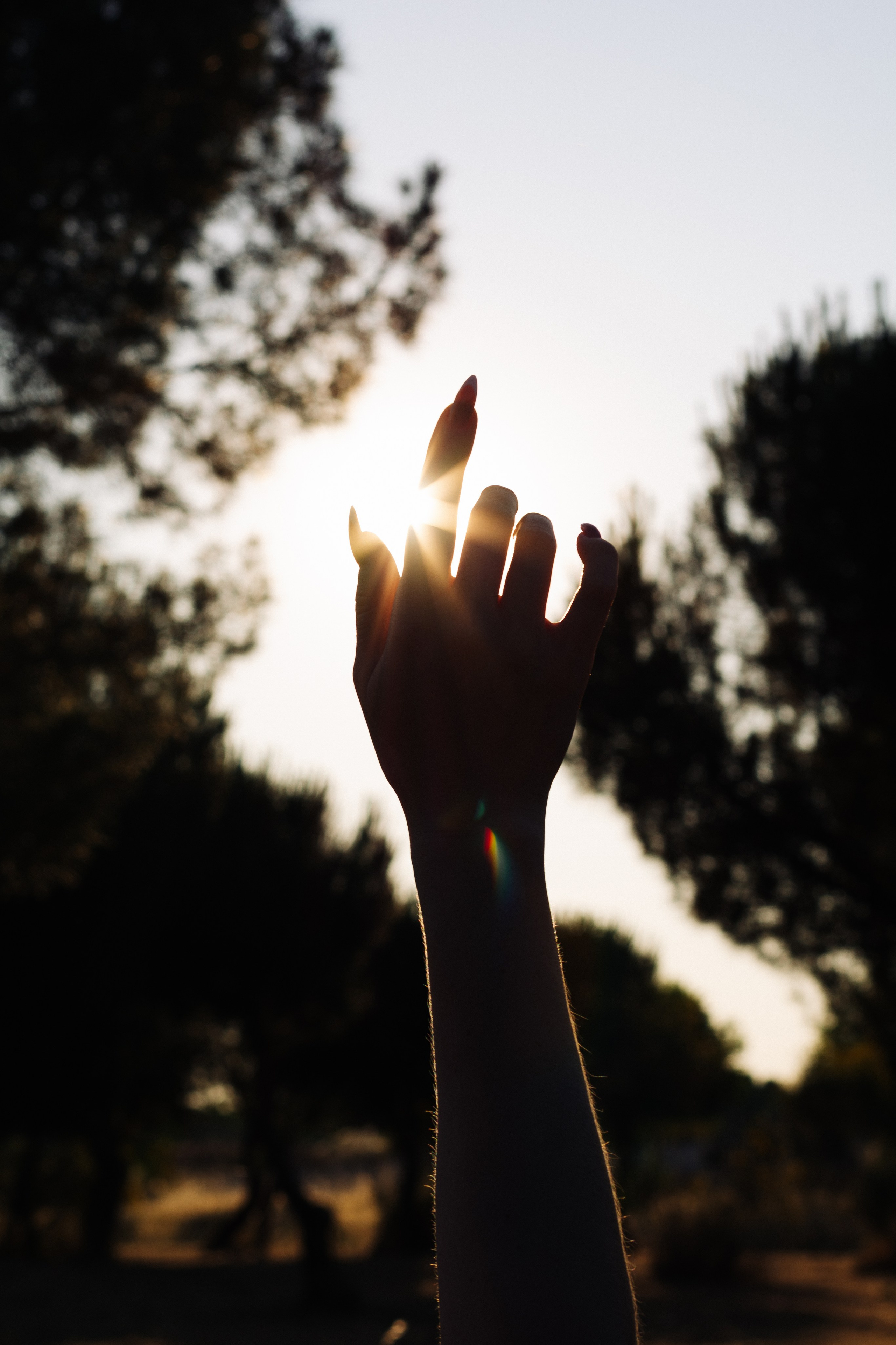 Anna. Shpanarskiy Nazar