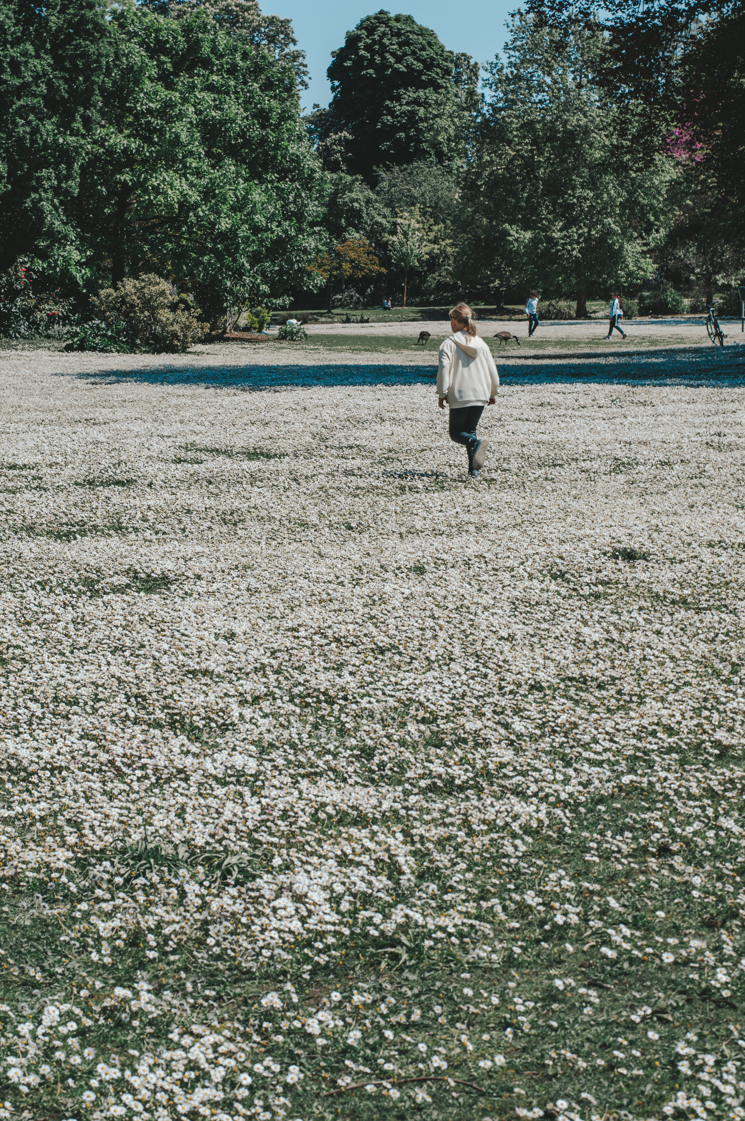Франция. Анастасия Благова — Твой фотограф в Малаге 🇪🇸