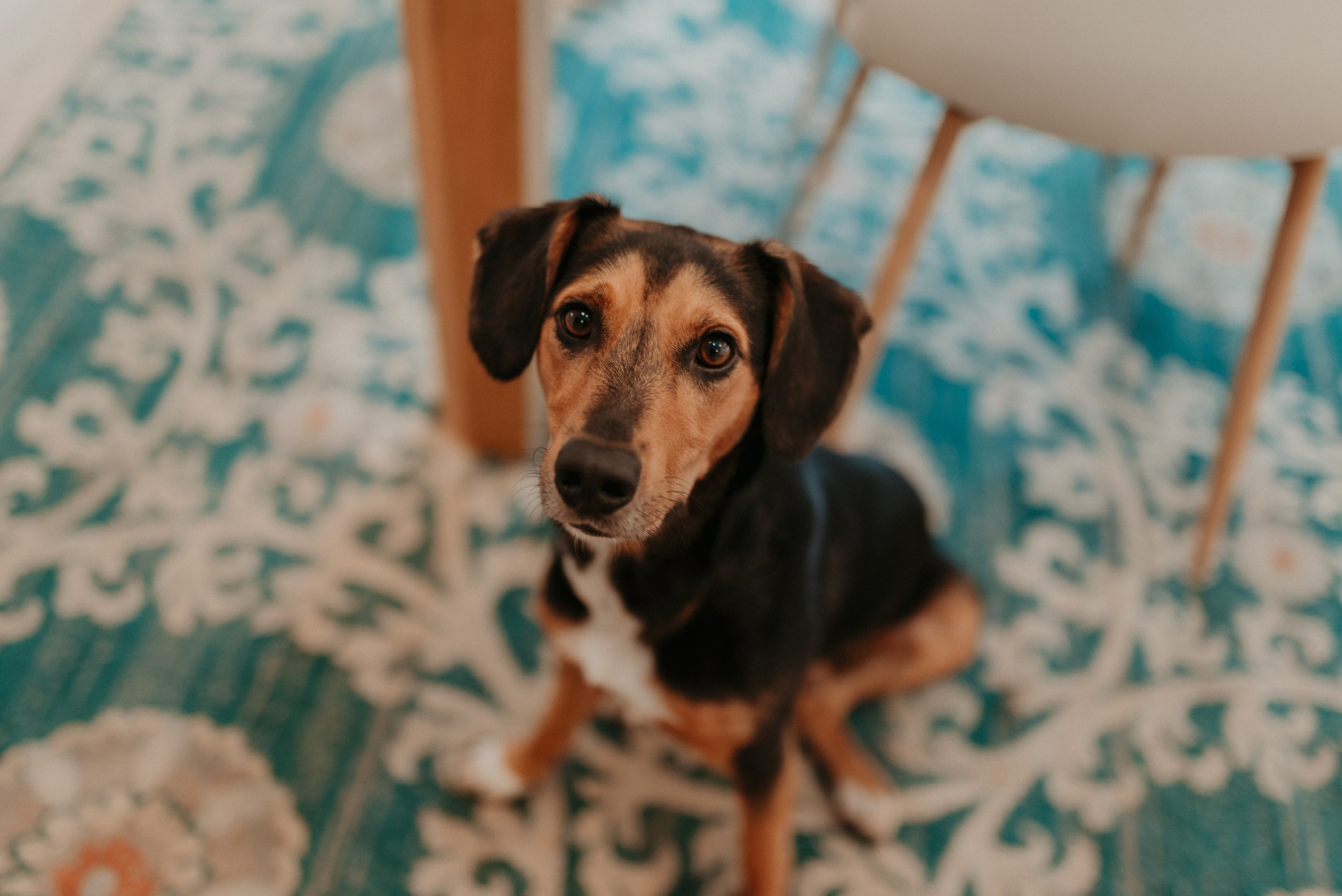 São & Luís. Photographe de mariage et de famille à Braga — Alexandra Mieres Photography