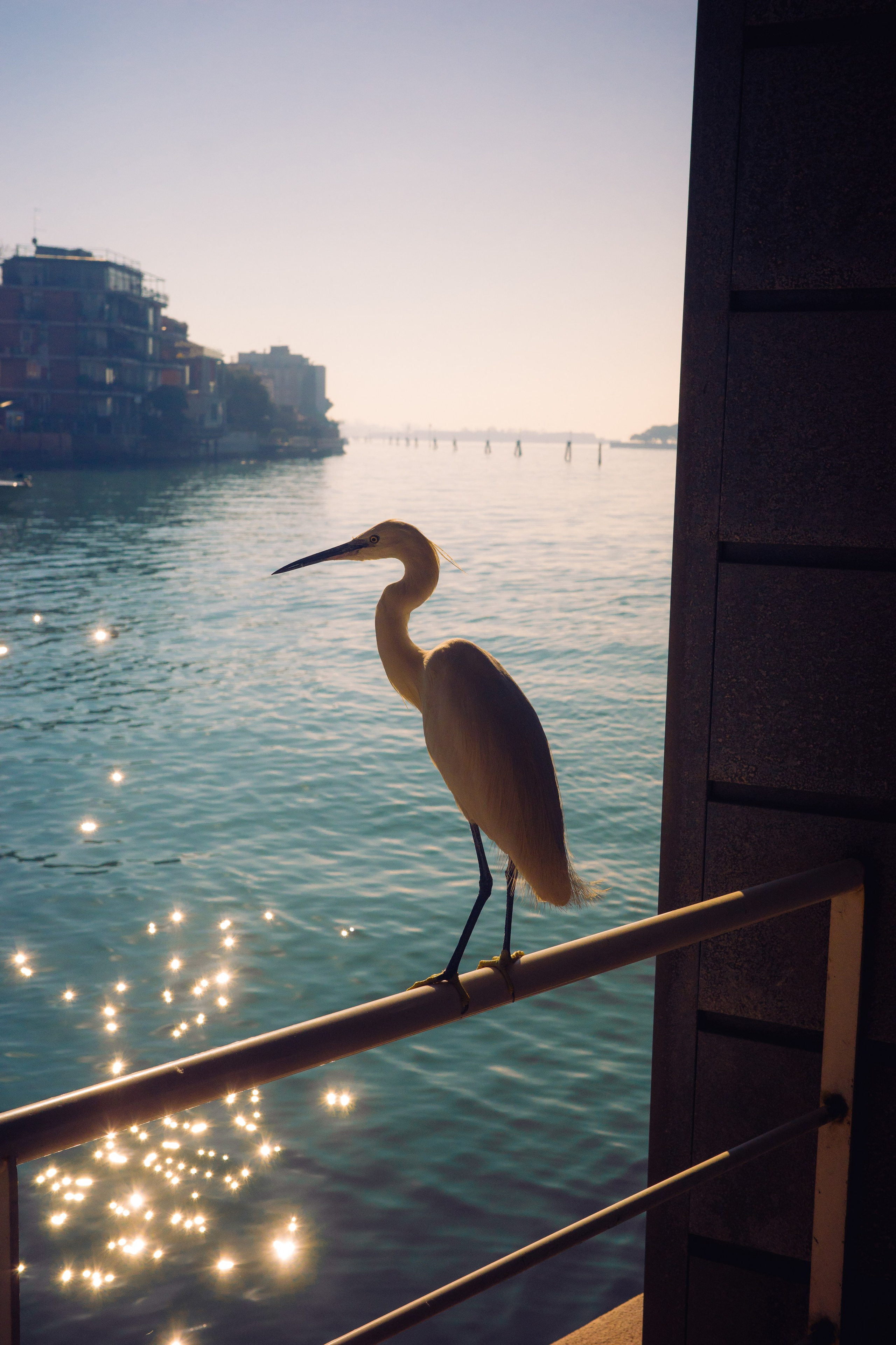 Street. Maria Sher. Professional photographer from Porto, Portugal